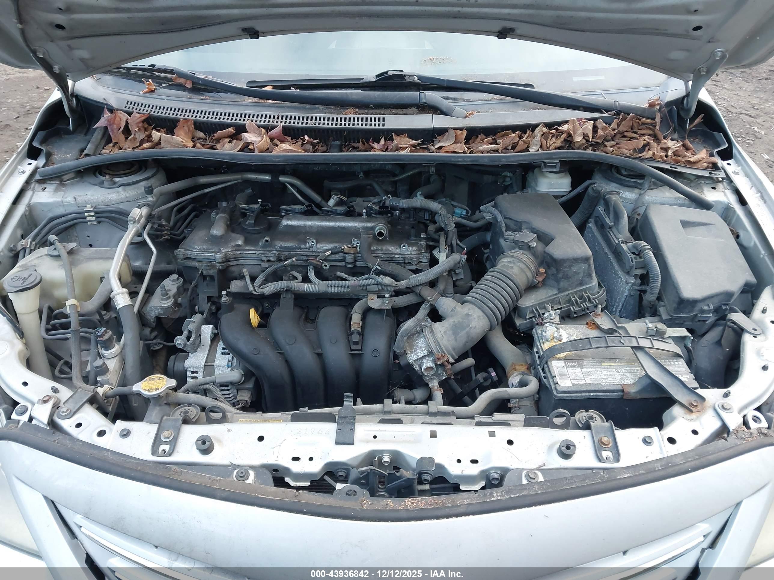 TOYOTA COROLLA image 10