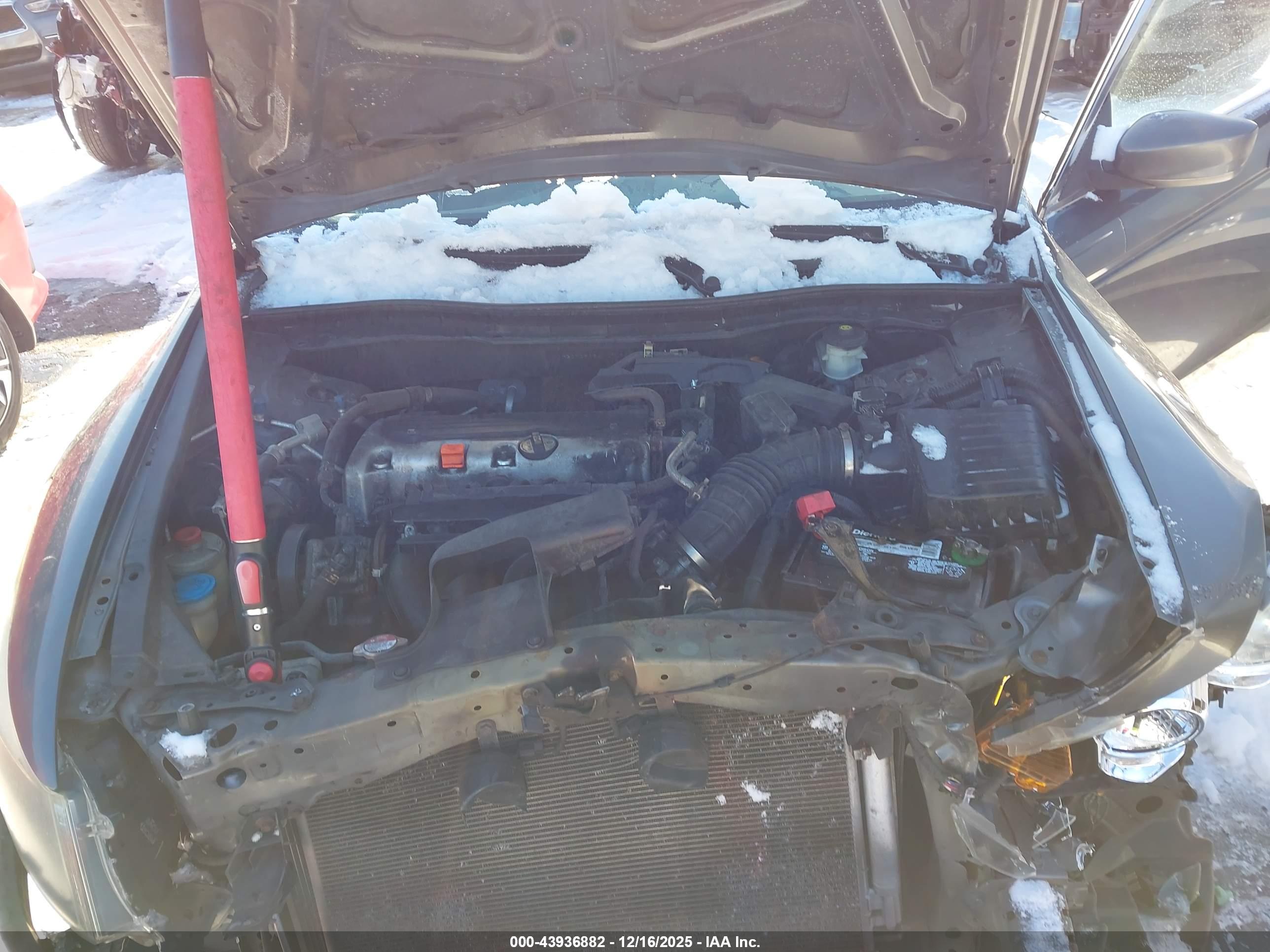 HONDA ACCORD image 10