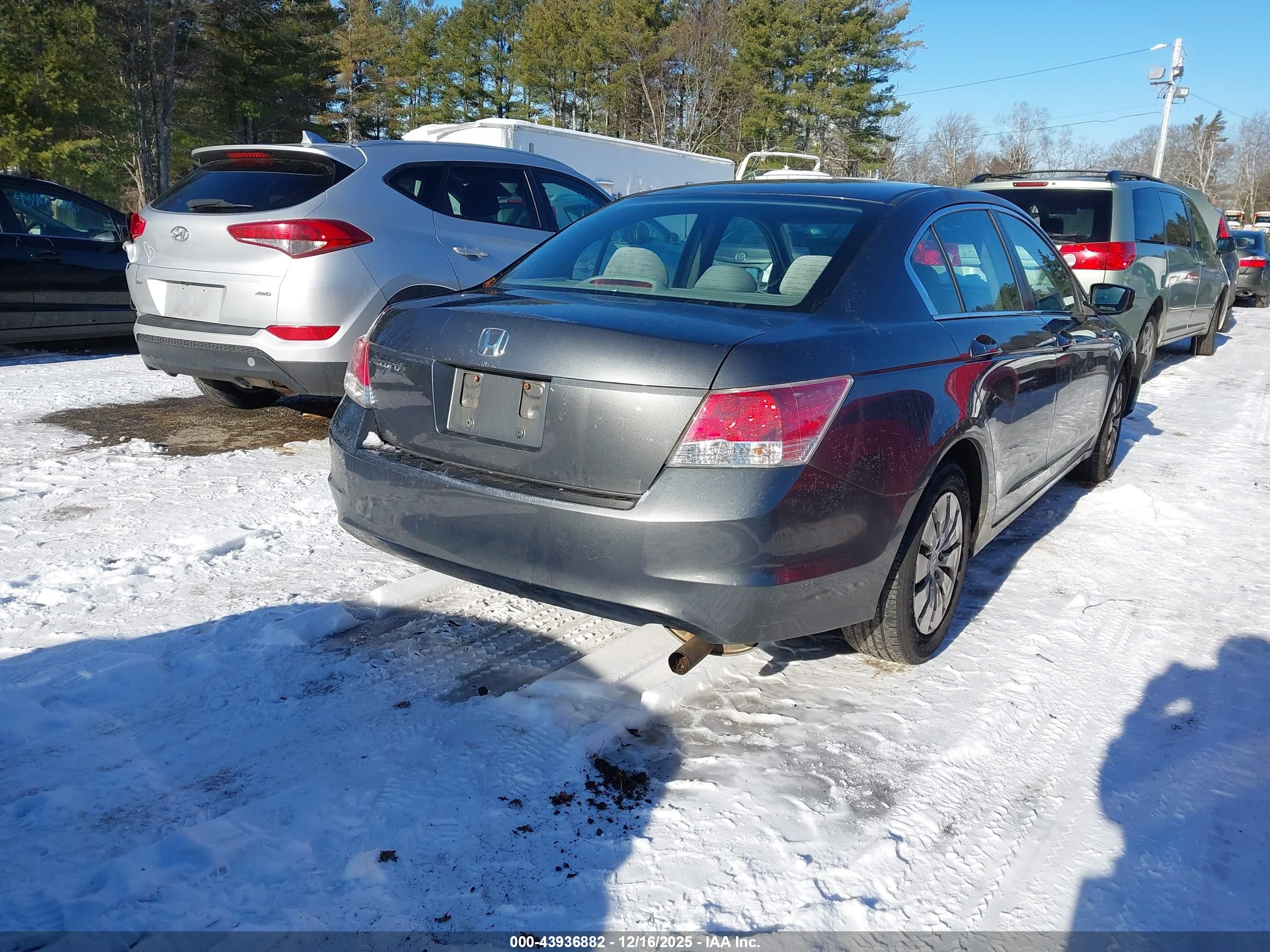 HONDA ACCORD image 4