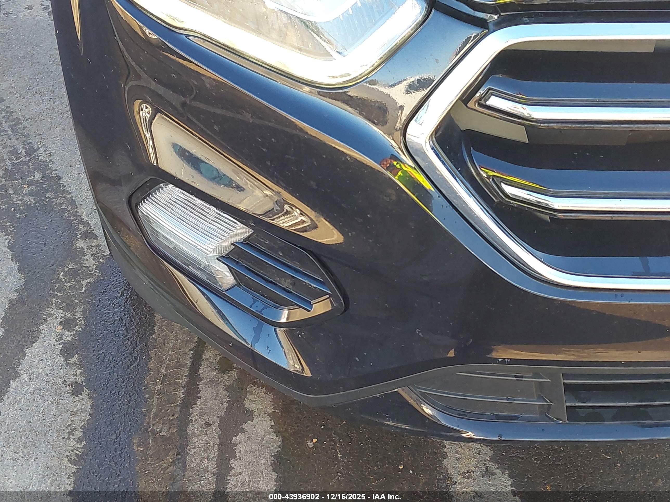 FORD ESCAPE image 6