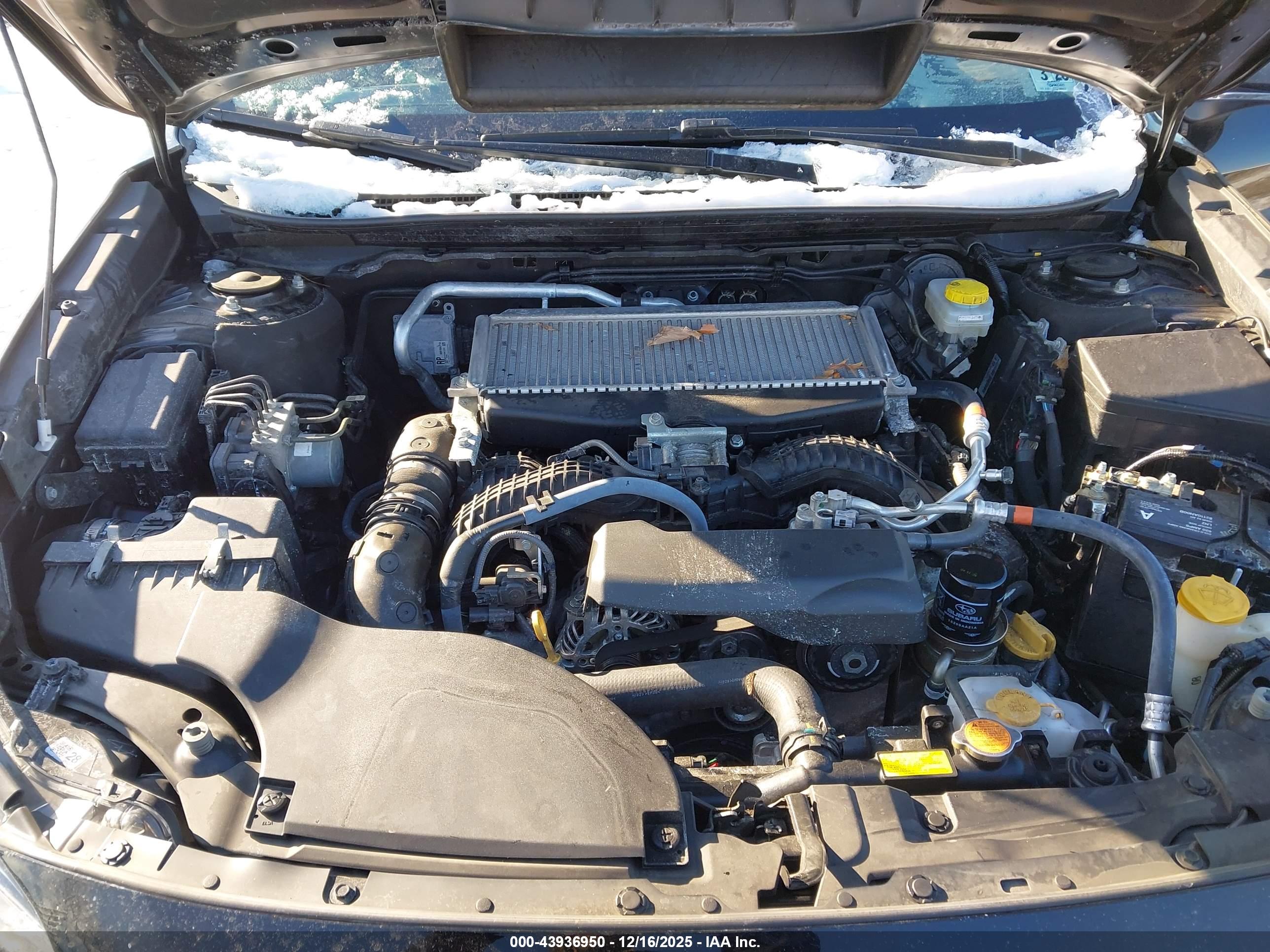 SUBARU OUTBACK image 10