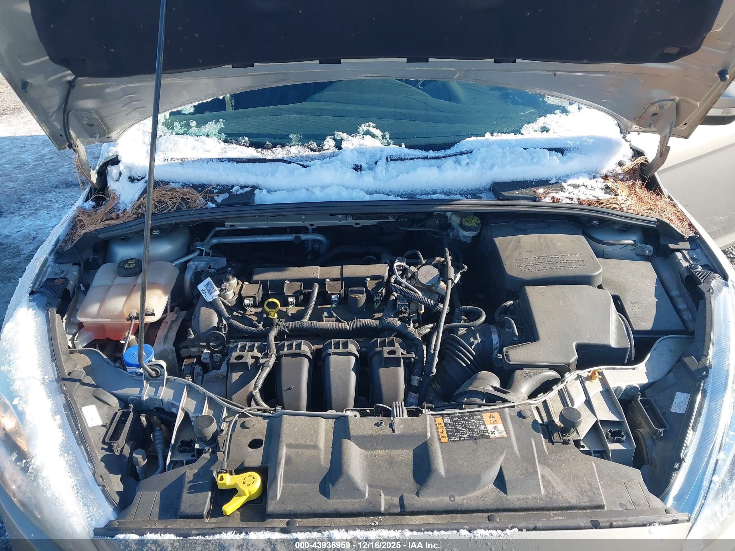 FORD FOCUS image 10