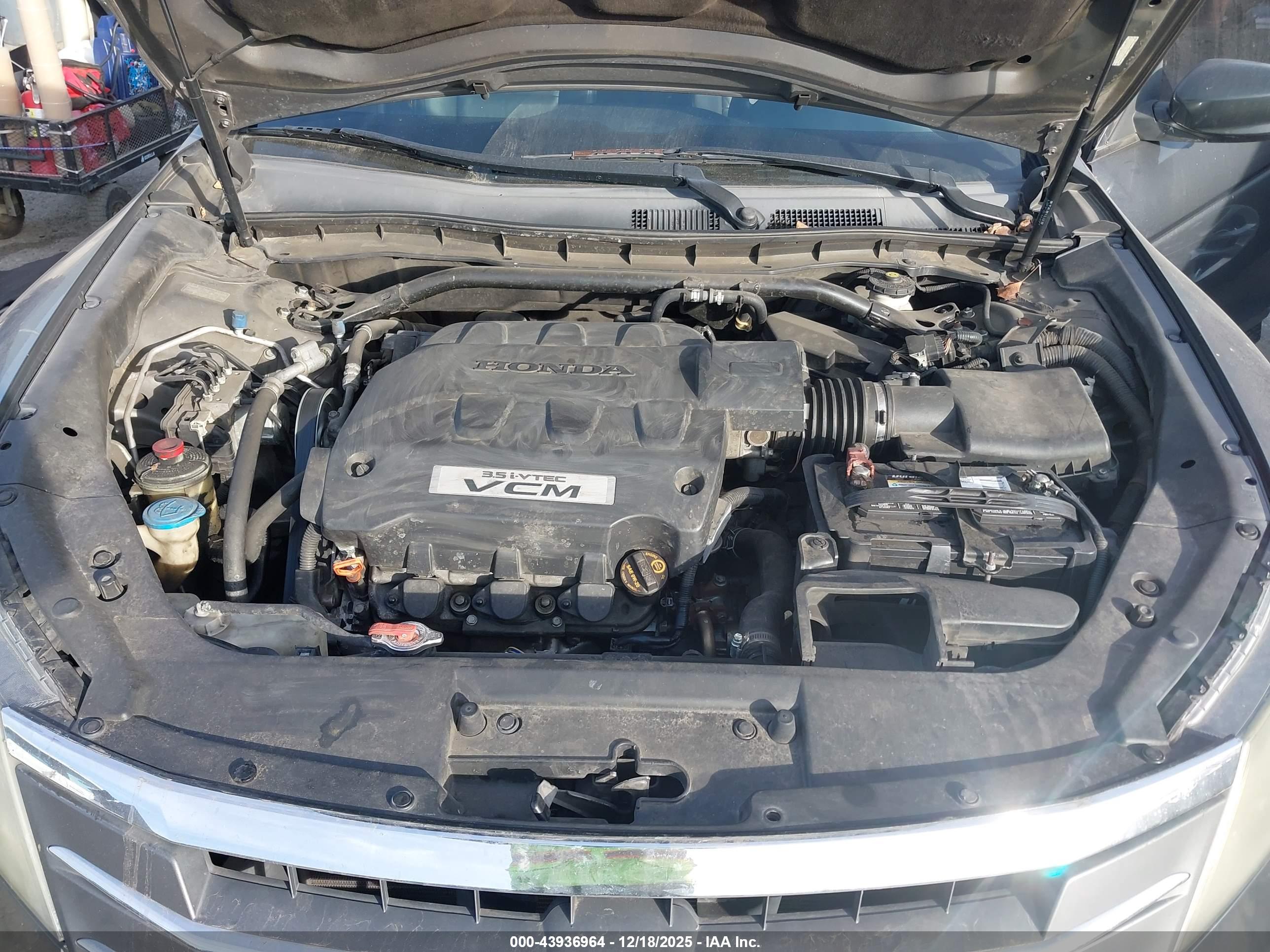 HONDA ACCORD image 10