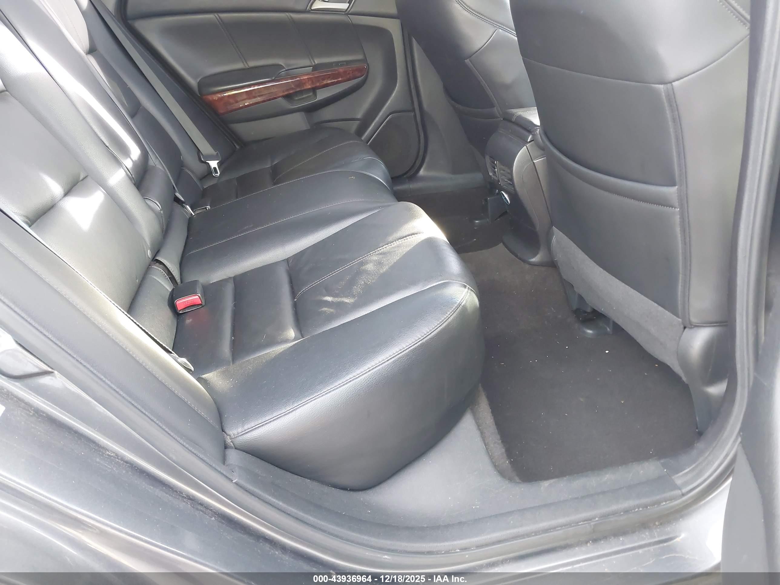 HONDA ACCORD image 8