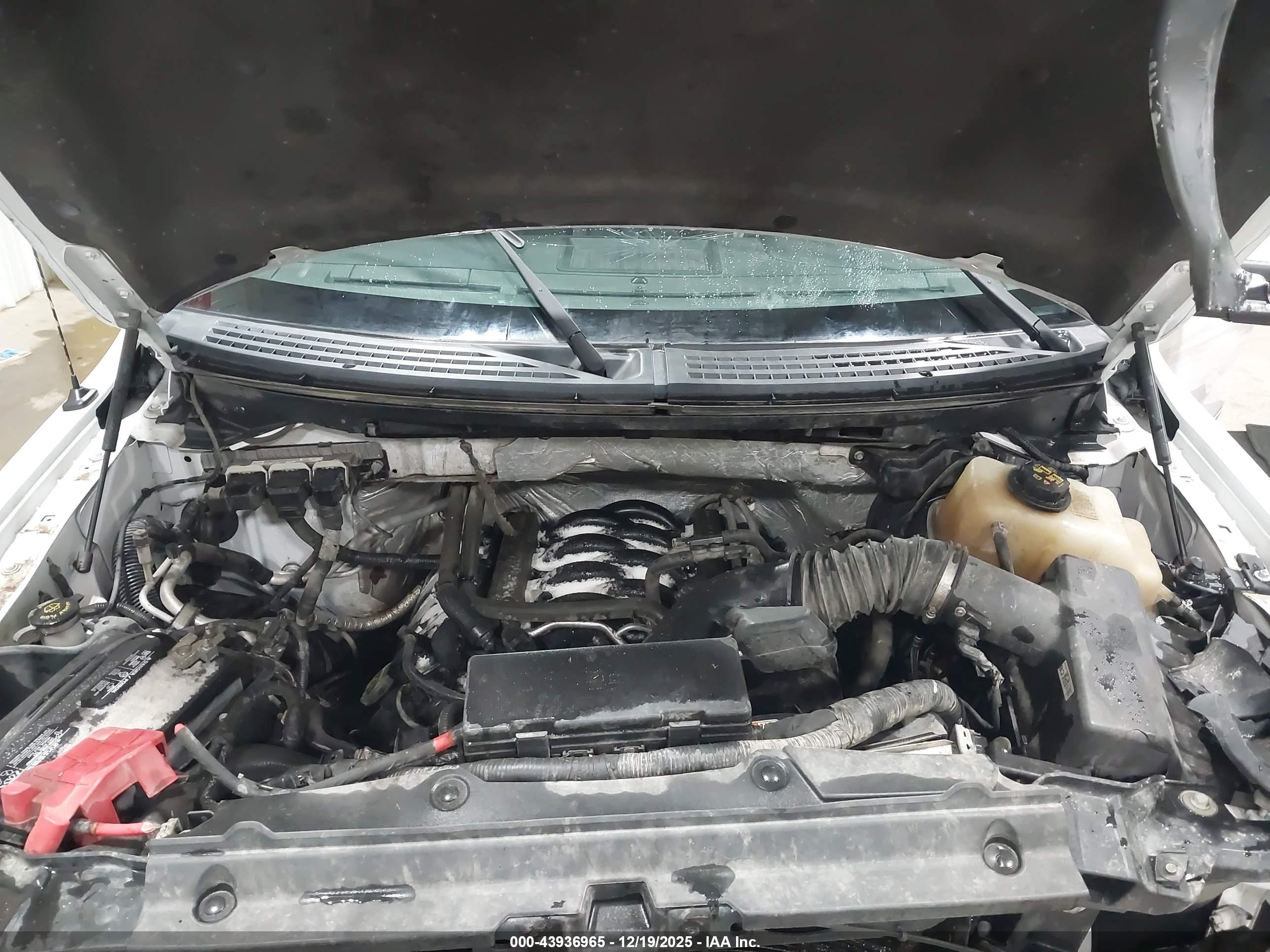 FORD F-150 image 10