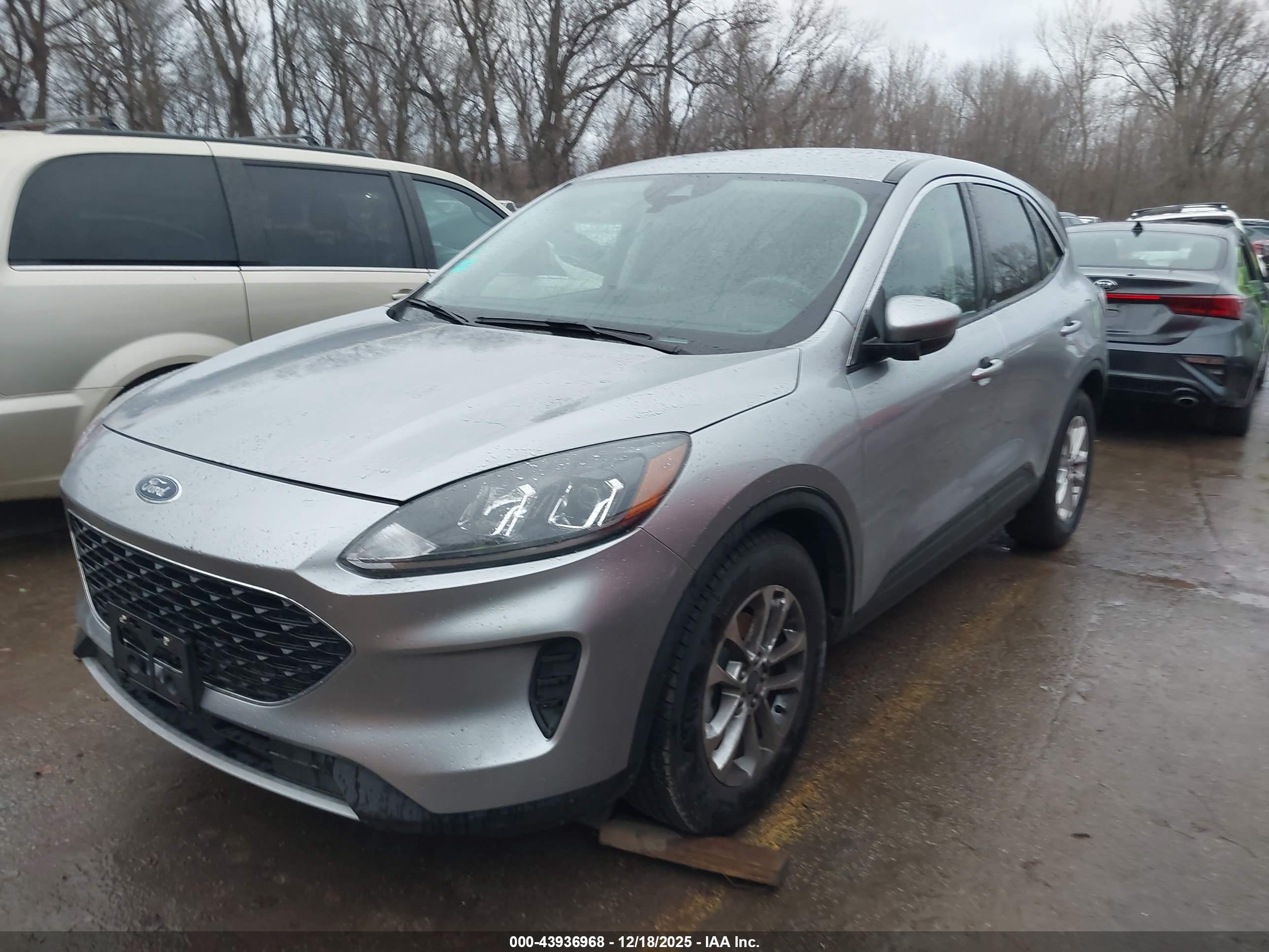 FORD ESCAPE image 2