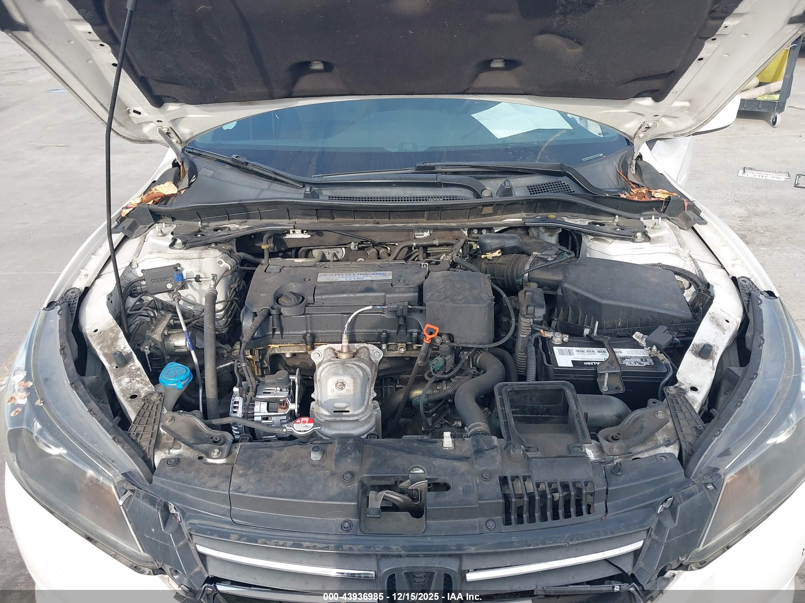 HONDA ACCORD image 10