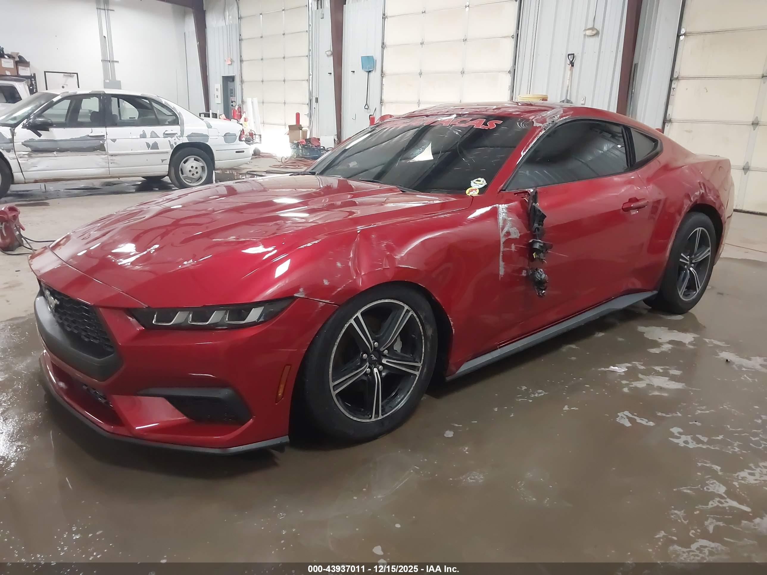 FORD MUSTANG image 2