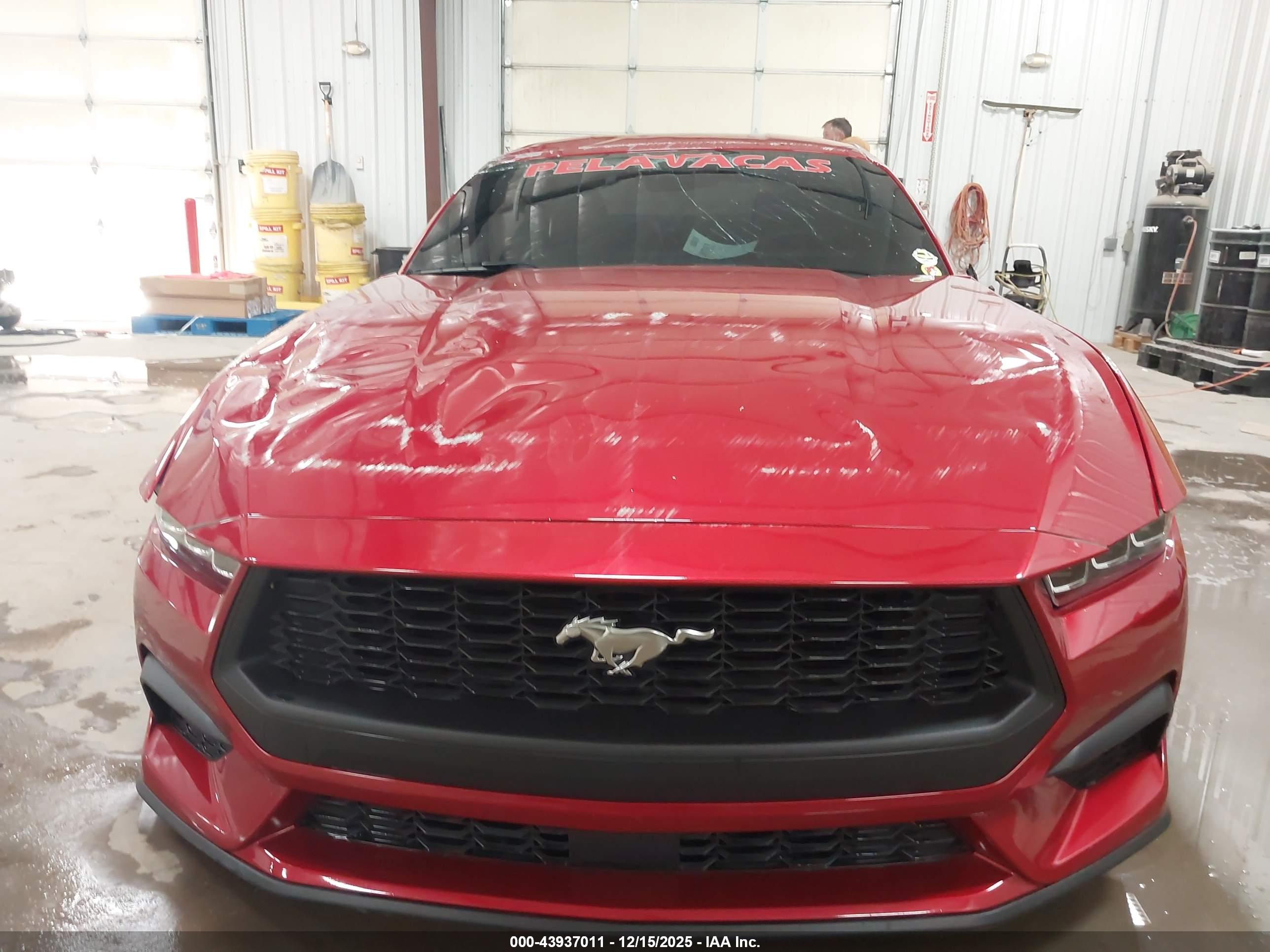 FORD MUSTANG image 6