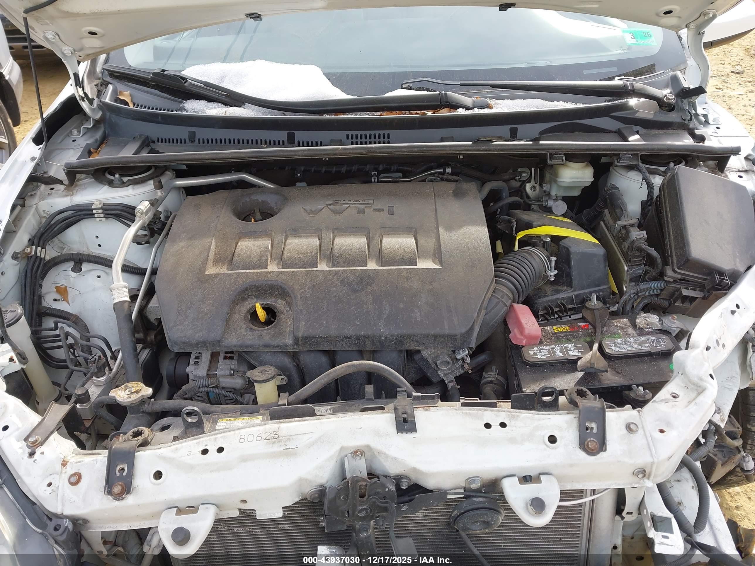 TOYOTA COROLLA image 10