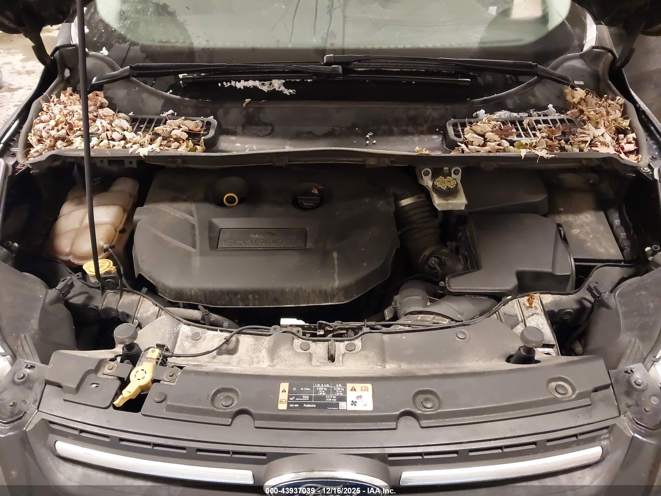 FORD ESCAPE image 10