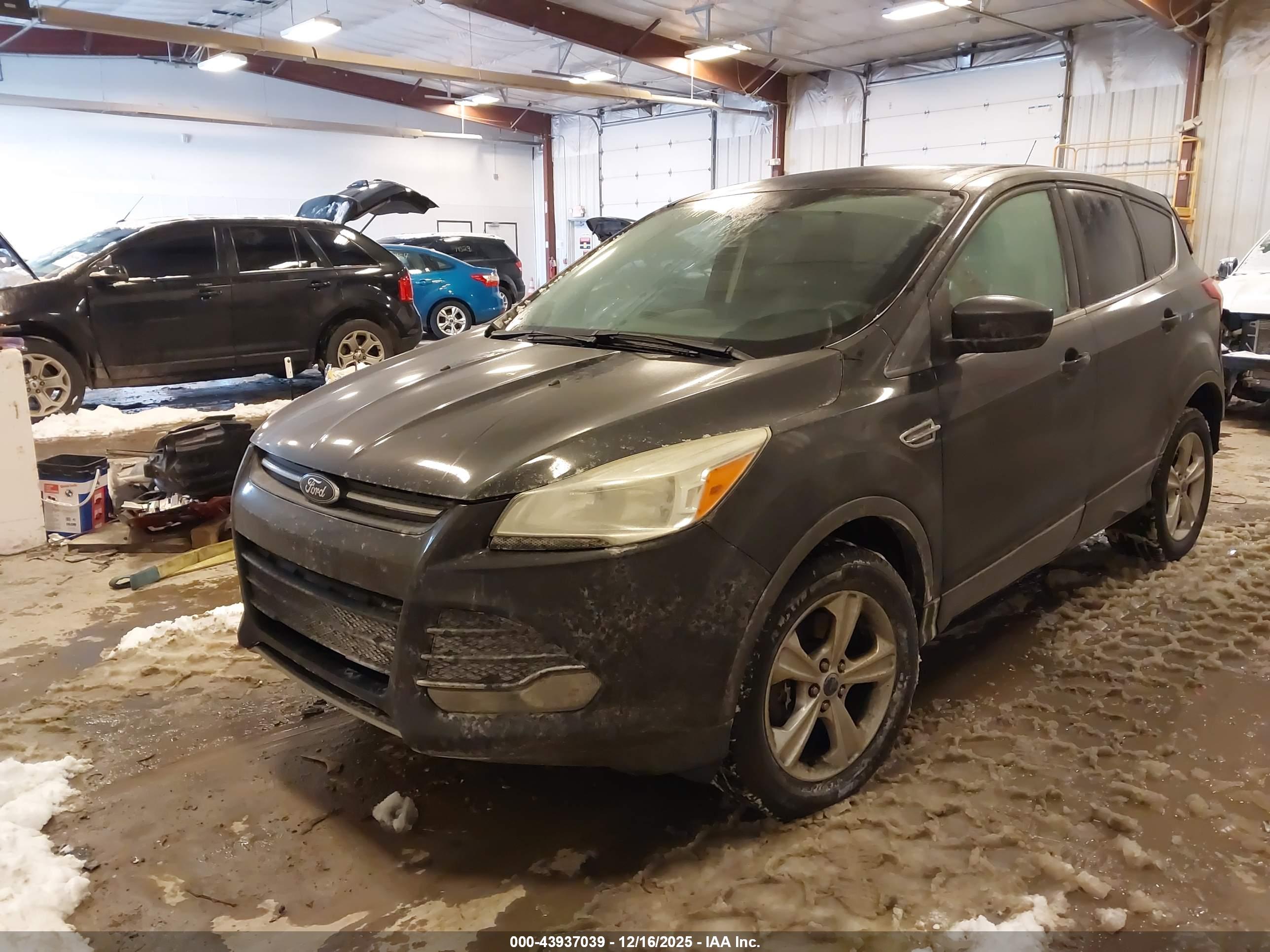 FORD ESCAPE image 2