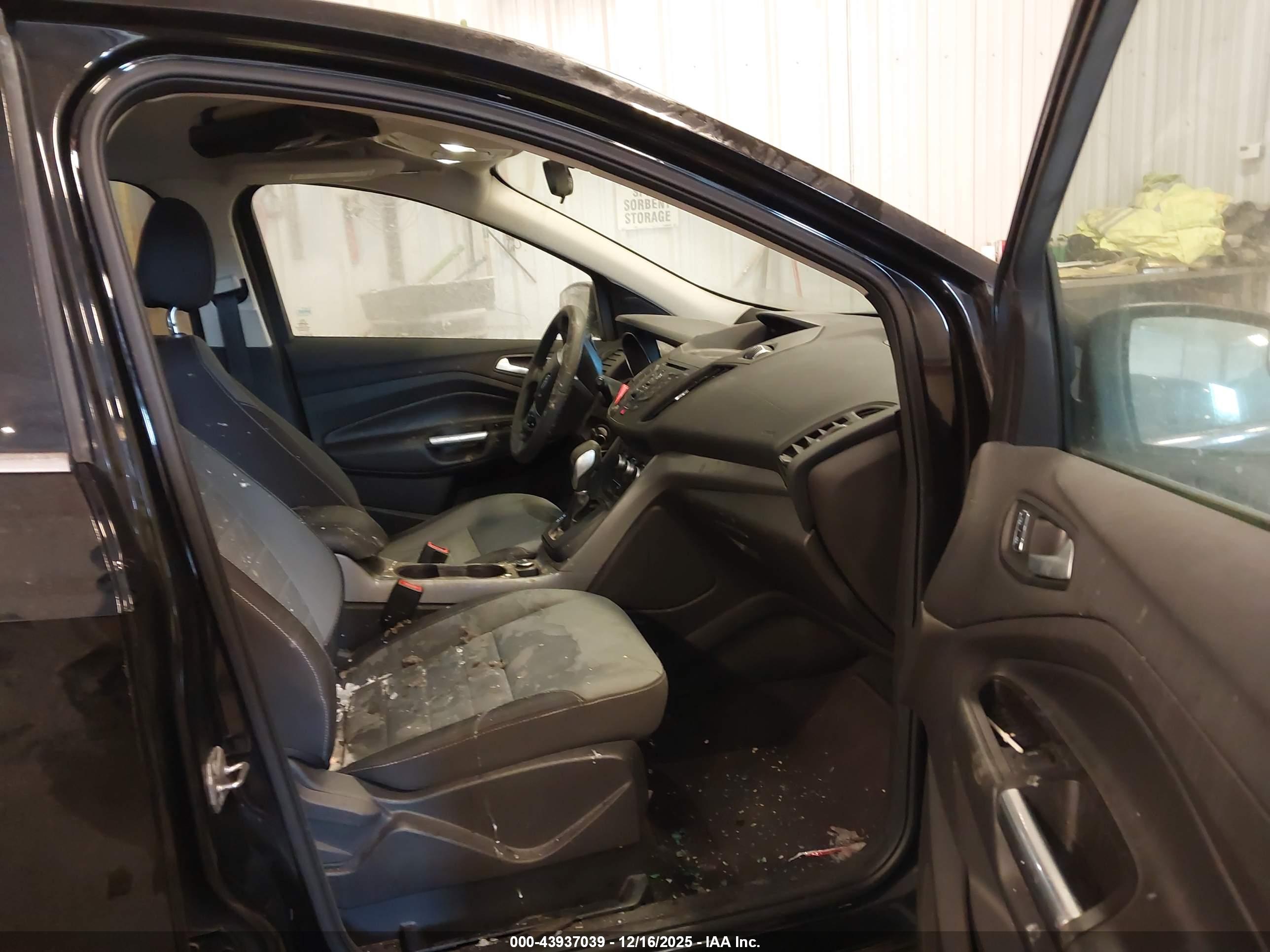 FORD ESCAPE image 5