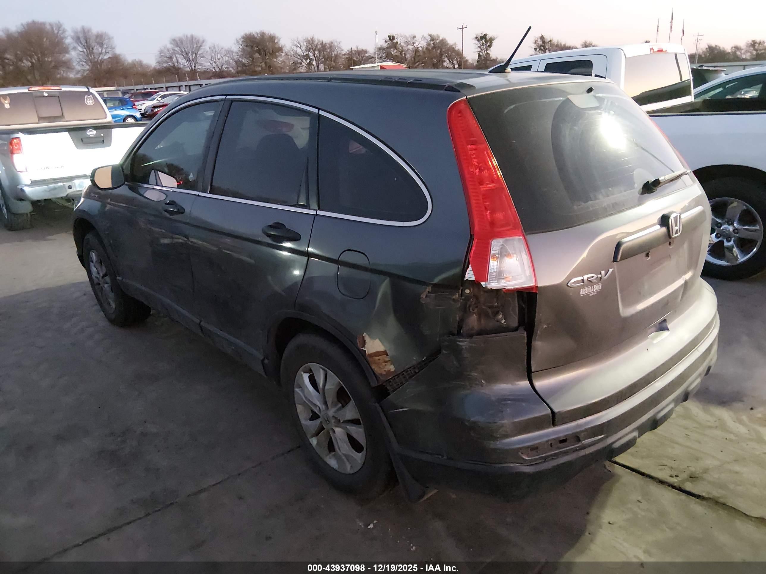HONDA CR-V image 3