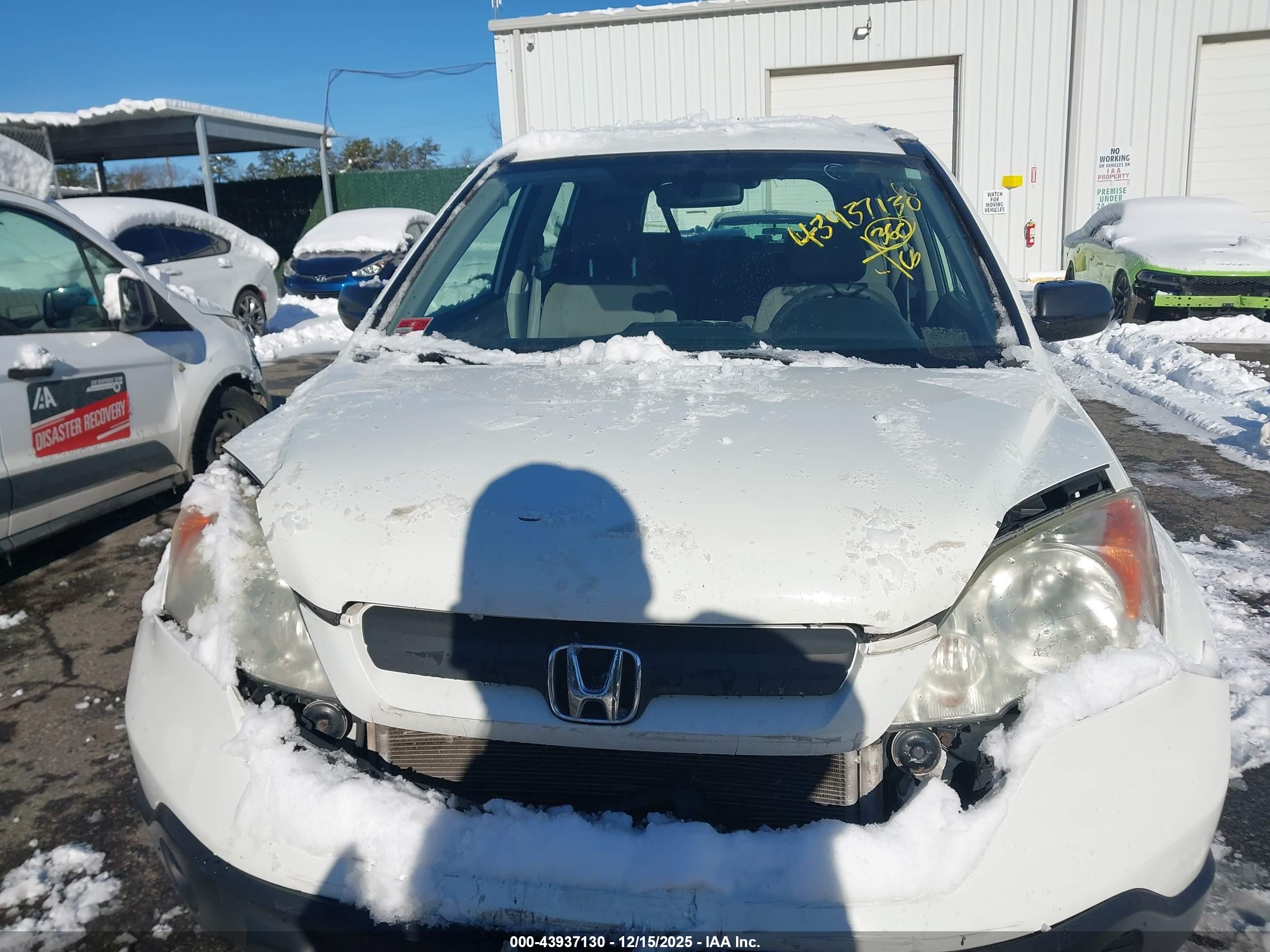 HONDA CR-V image 6