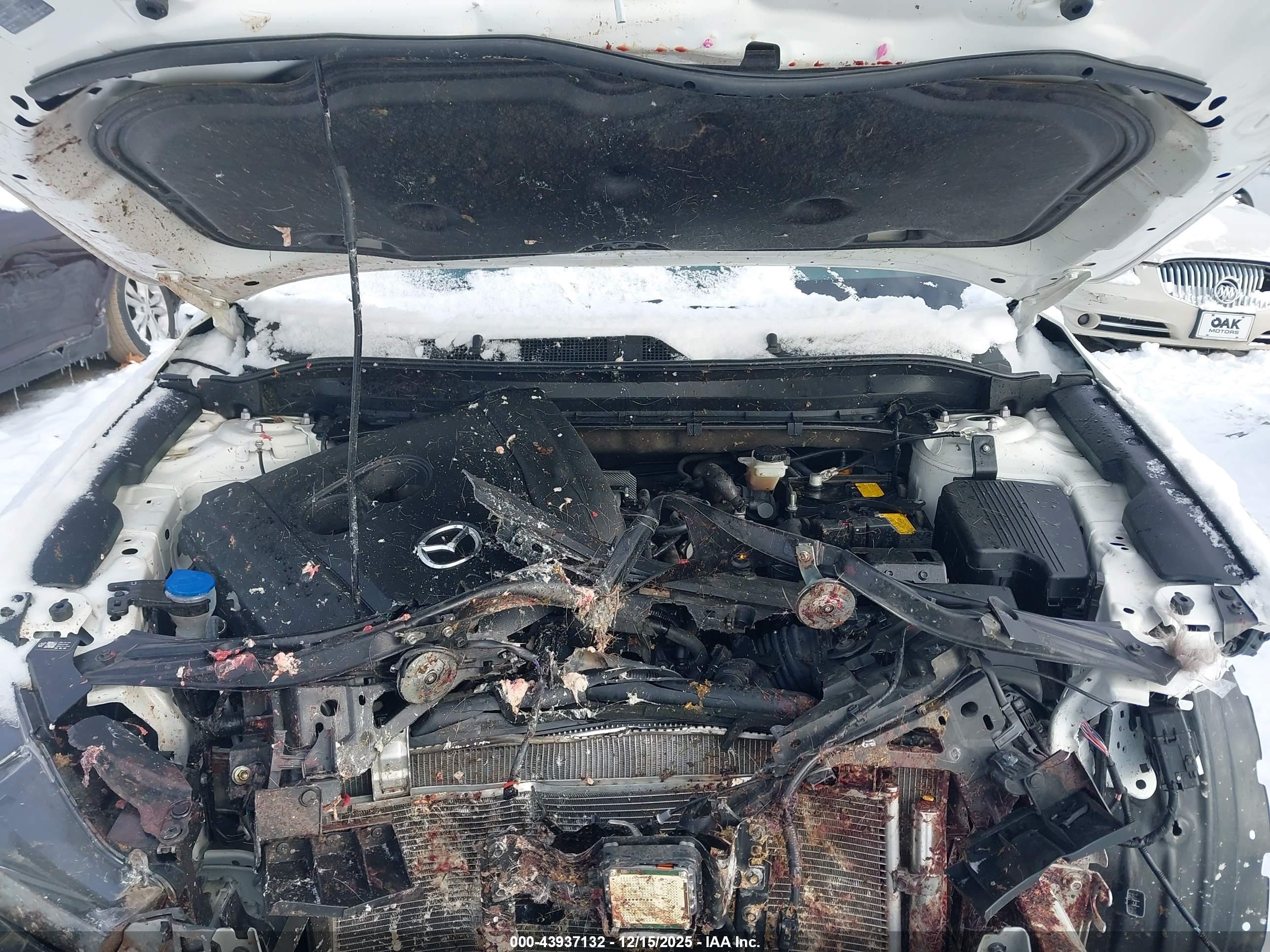 MAZDA CX-5 image 10
