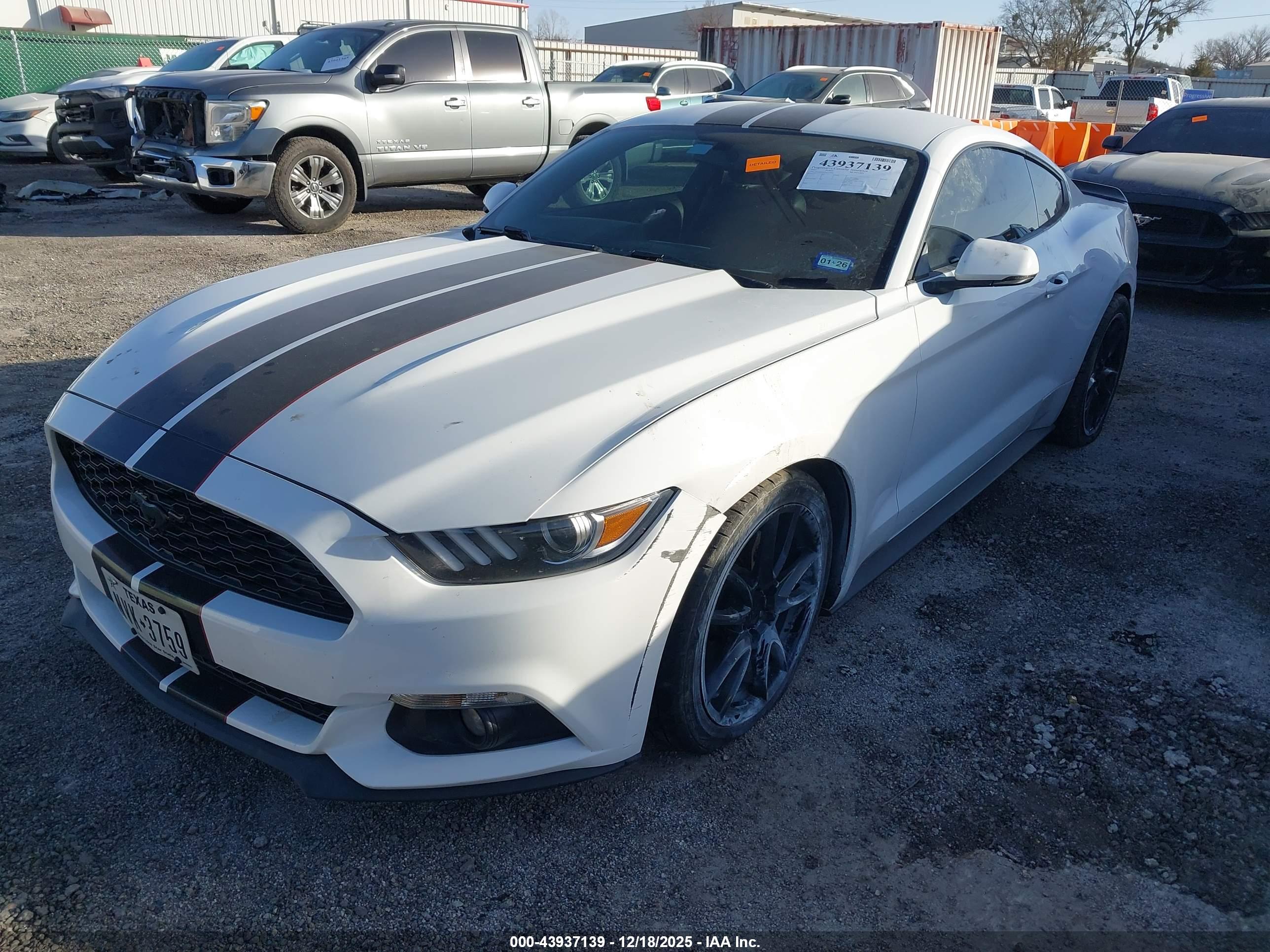 FORD MUSTANG image 2
