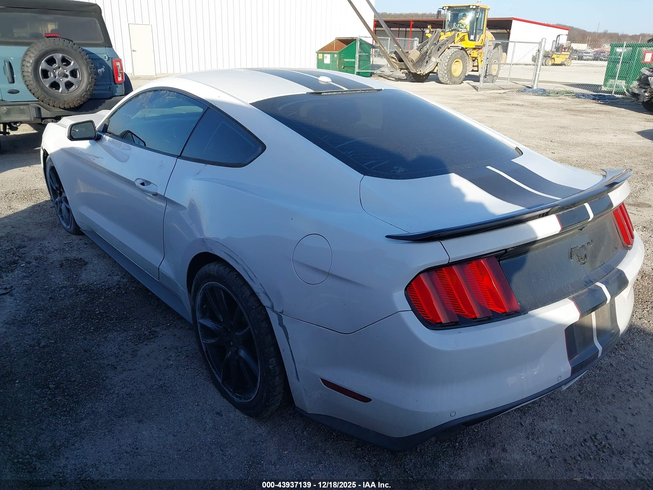 FORD MUSTANG image 3