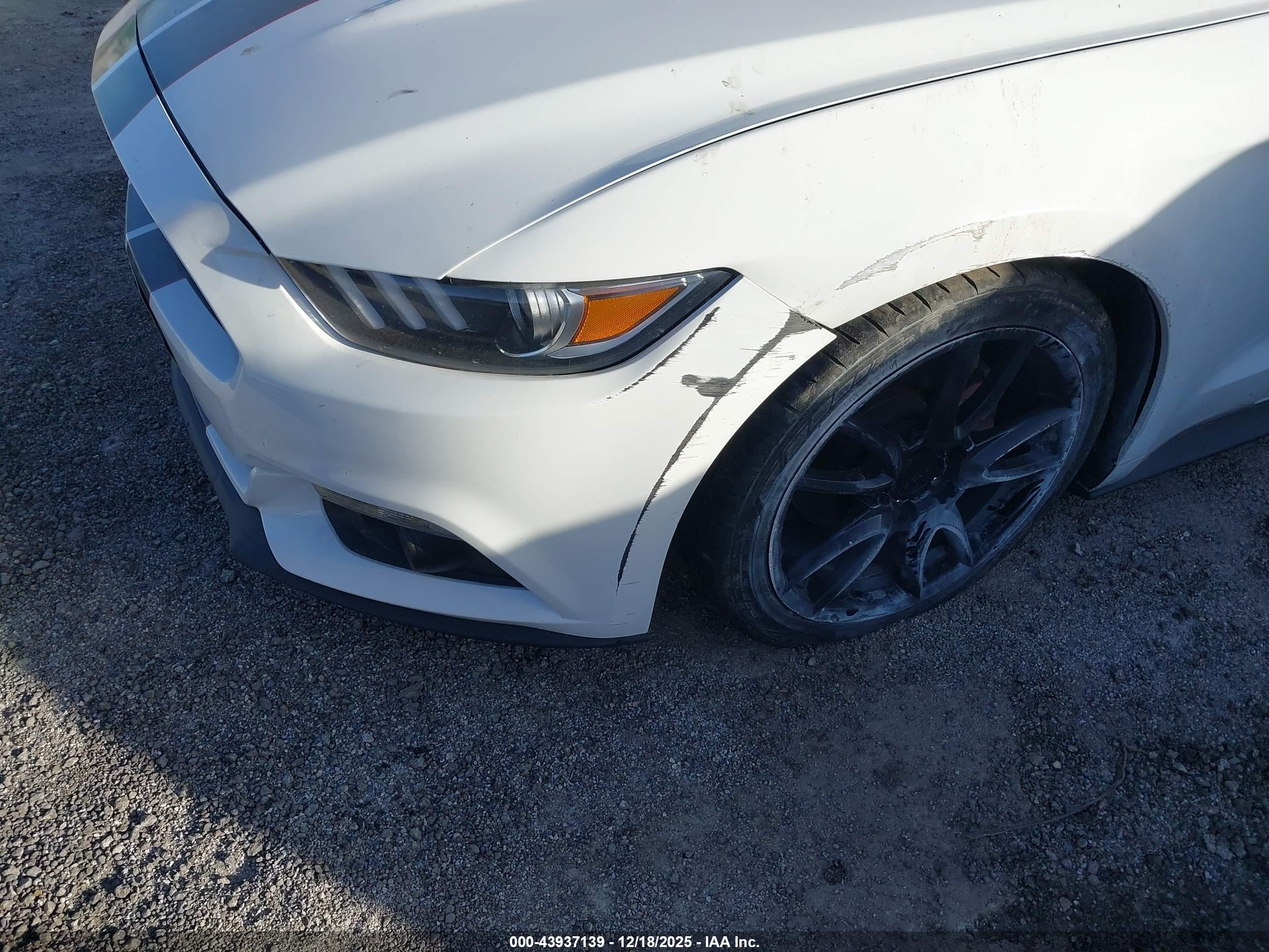 FORD MUSTANG image 6