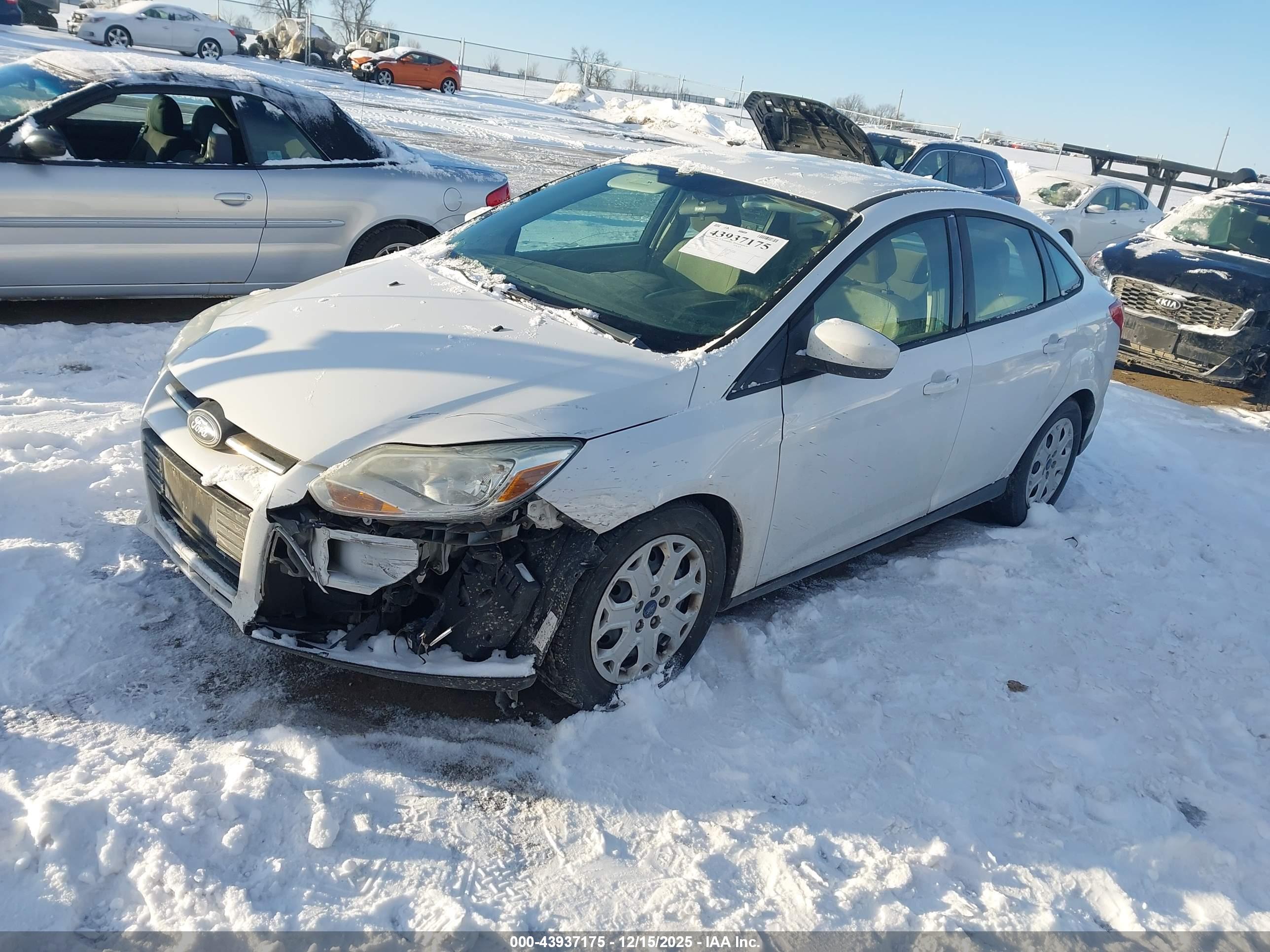 FORD FOCUS image 2