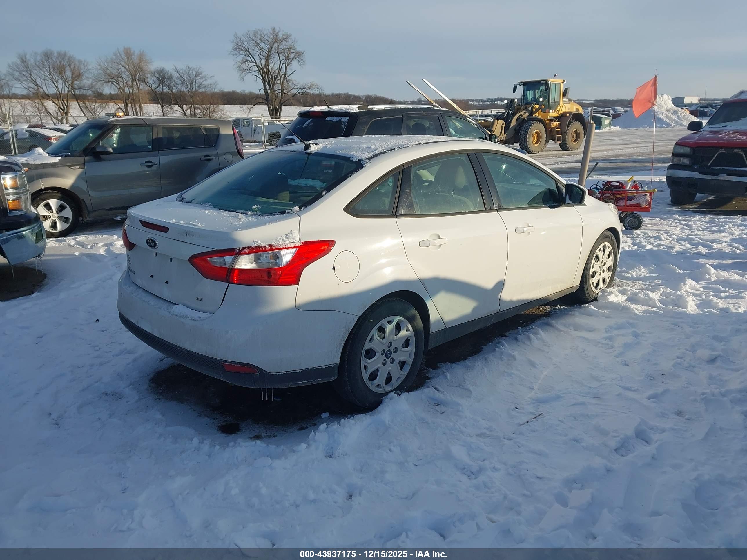 FORD FOCUS image 4