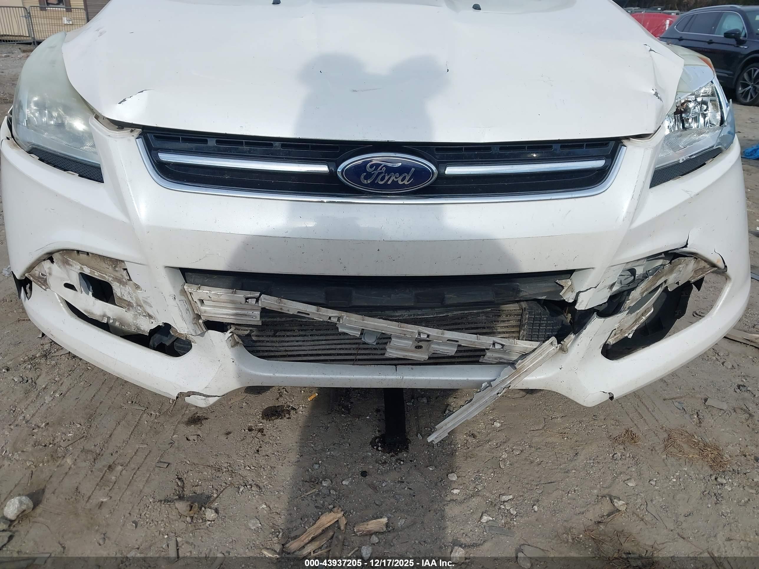 FORD ESCAPE image 6