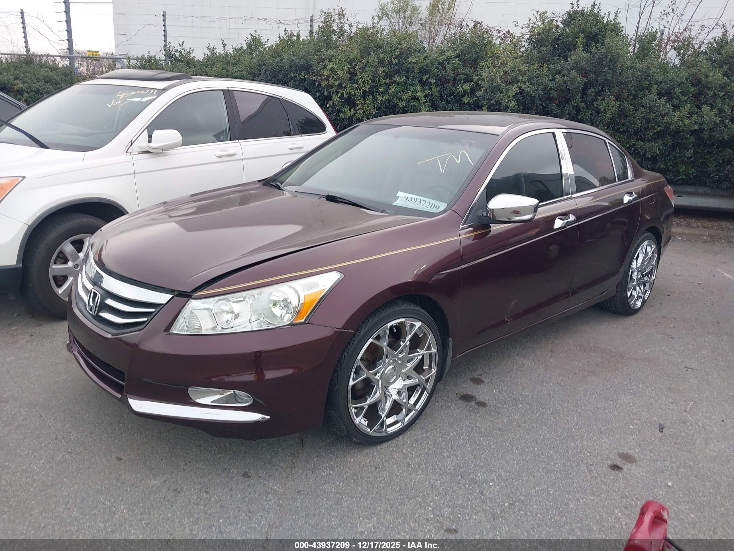 HONDA ACCORD image 2