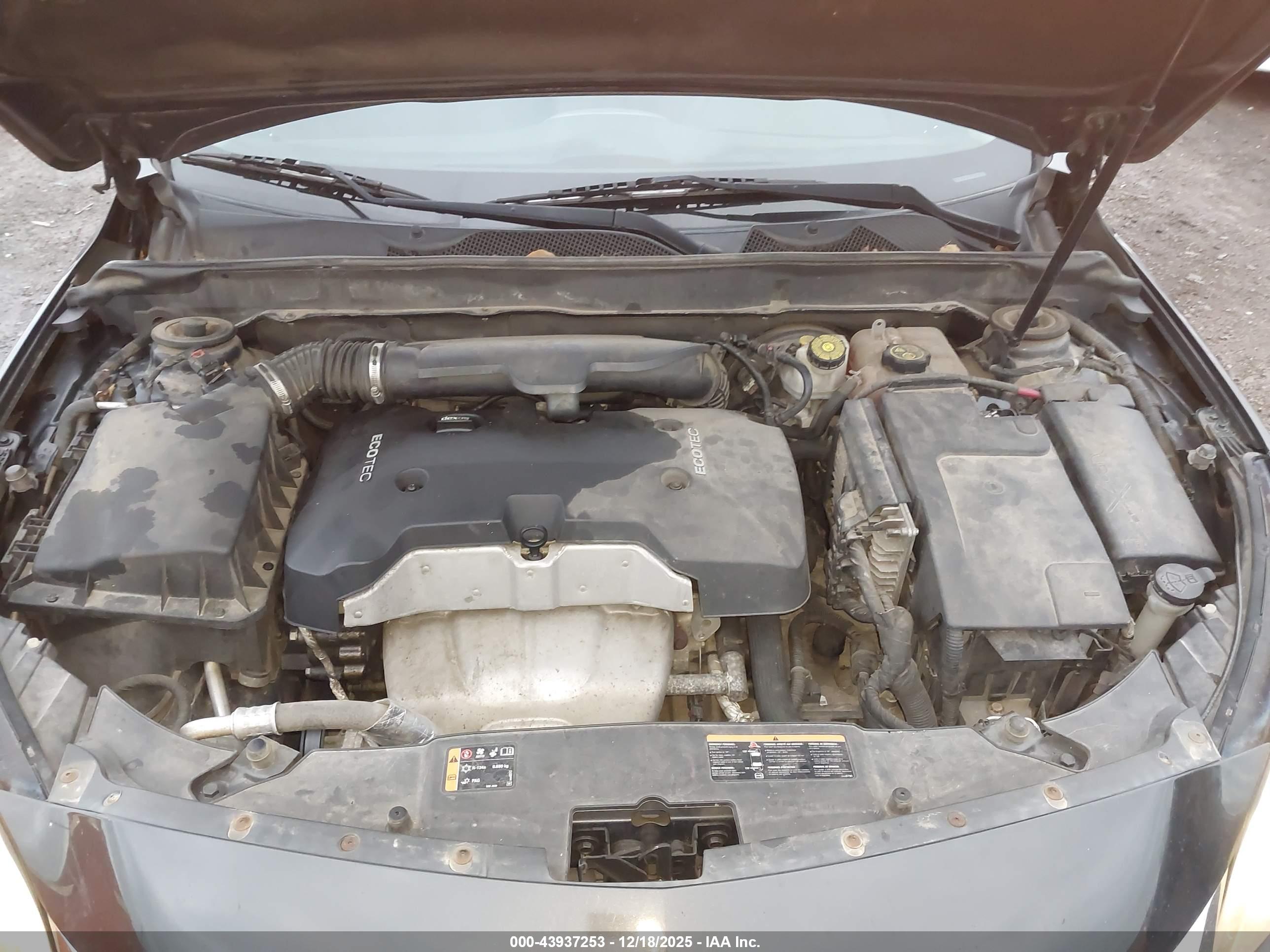 CHEVROLET MALIBU image 10