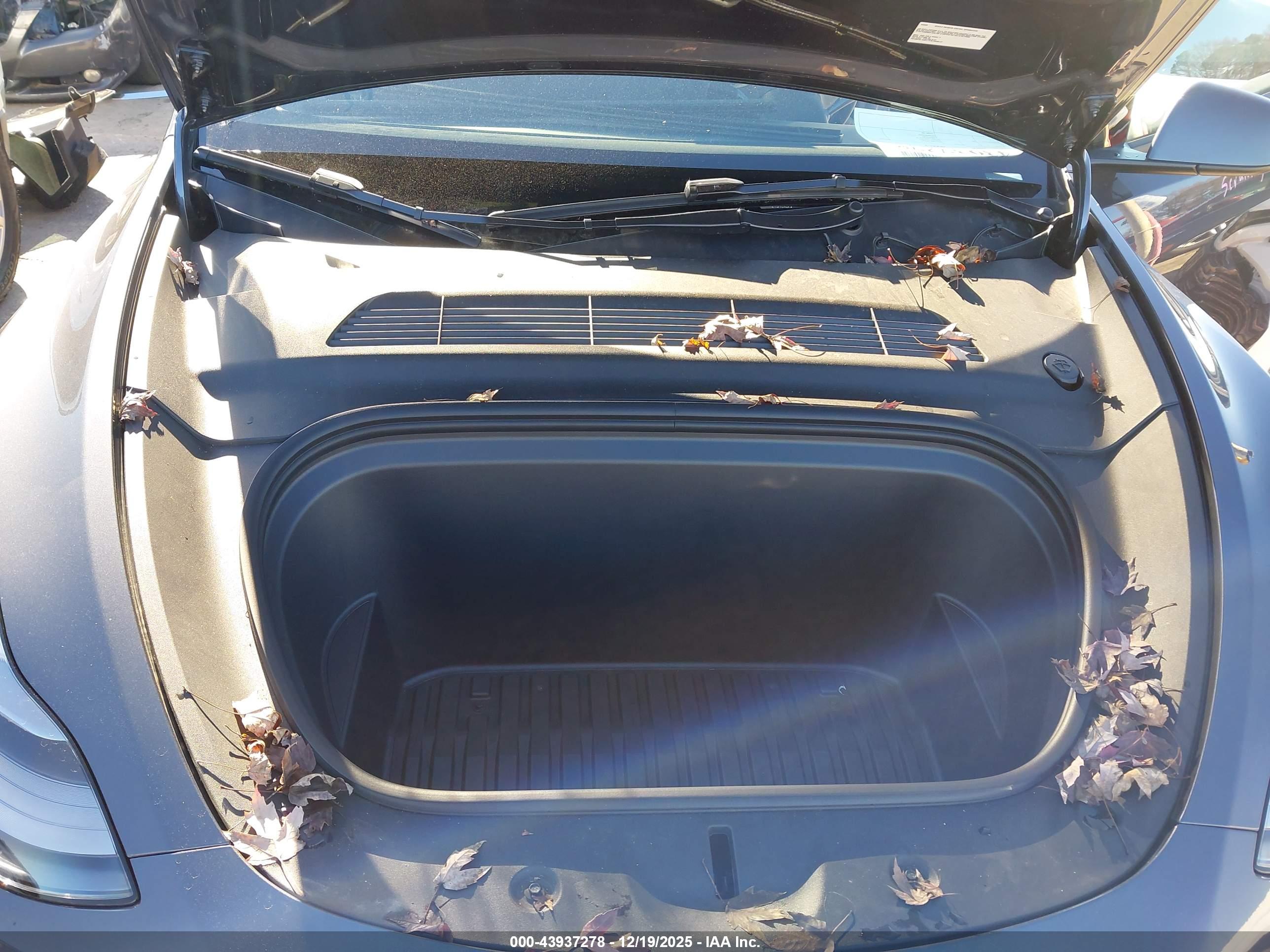TESLA MODEL image 10