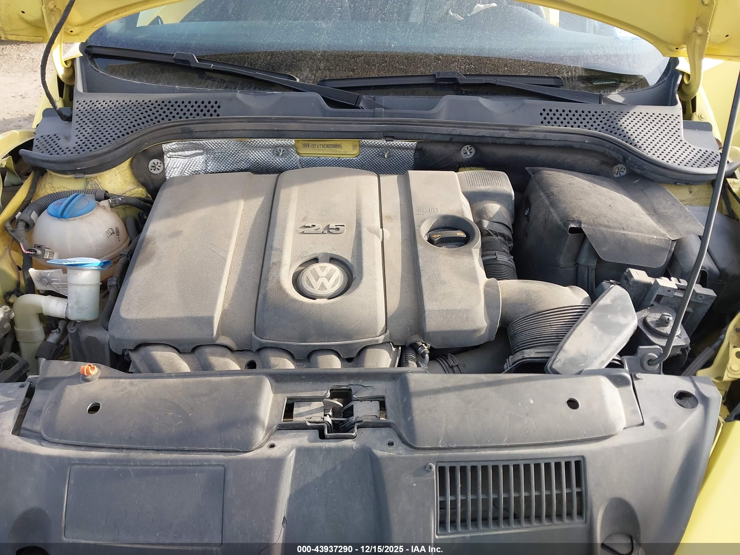 VOLKSWAGEN BEETLE image 10