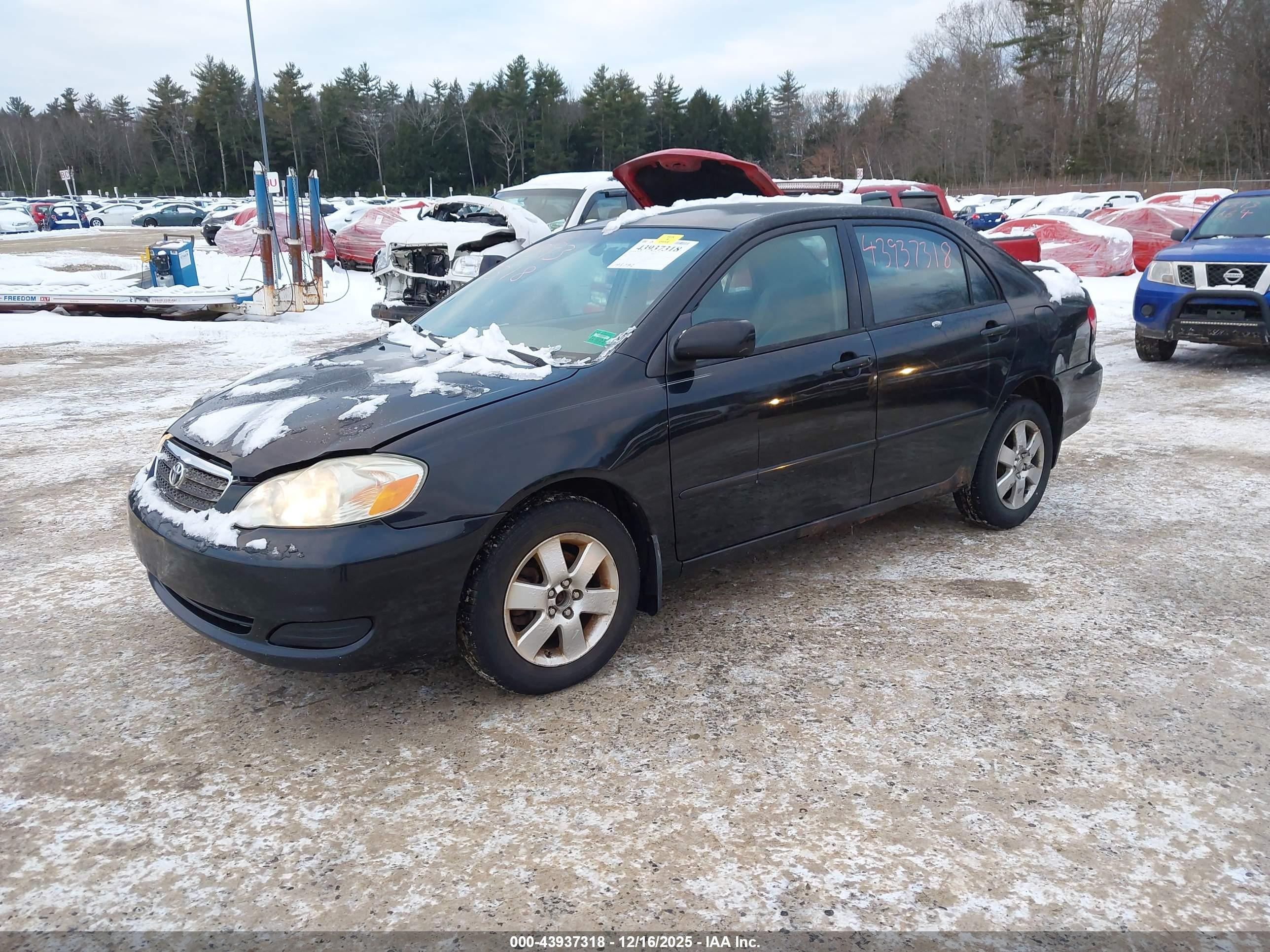 TOYOTA COROLLA image 2