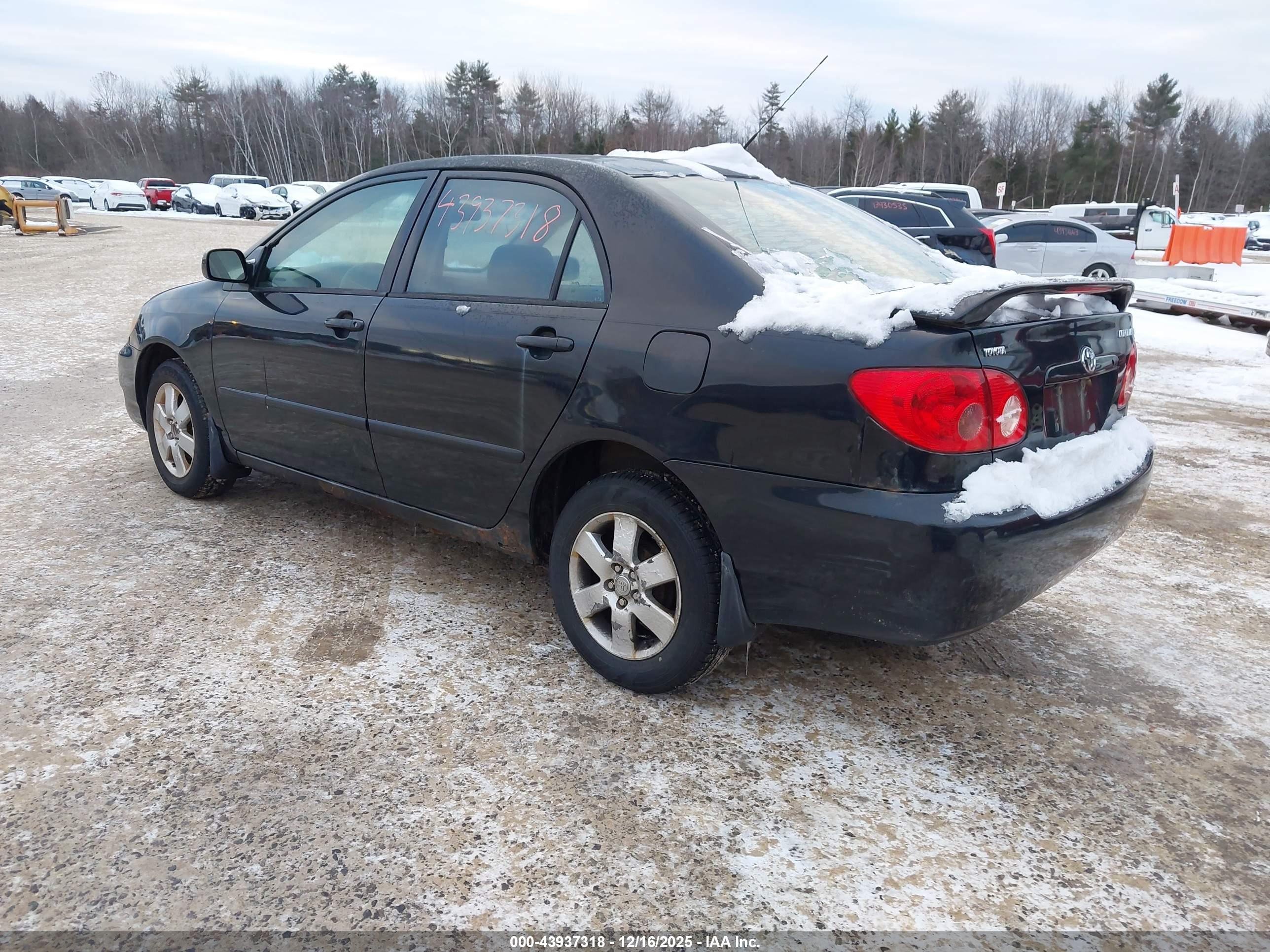 TOYOTA COROLLA image 3