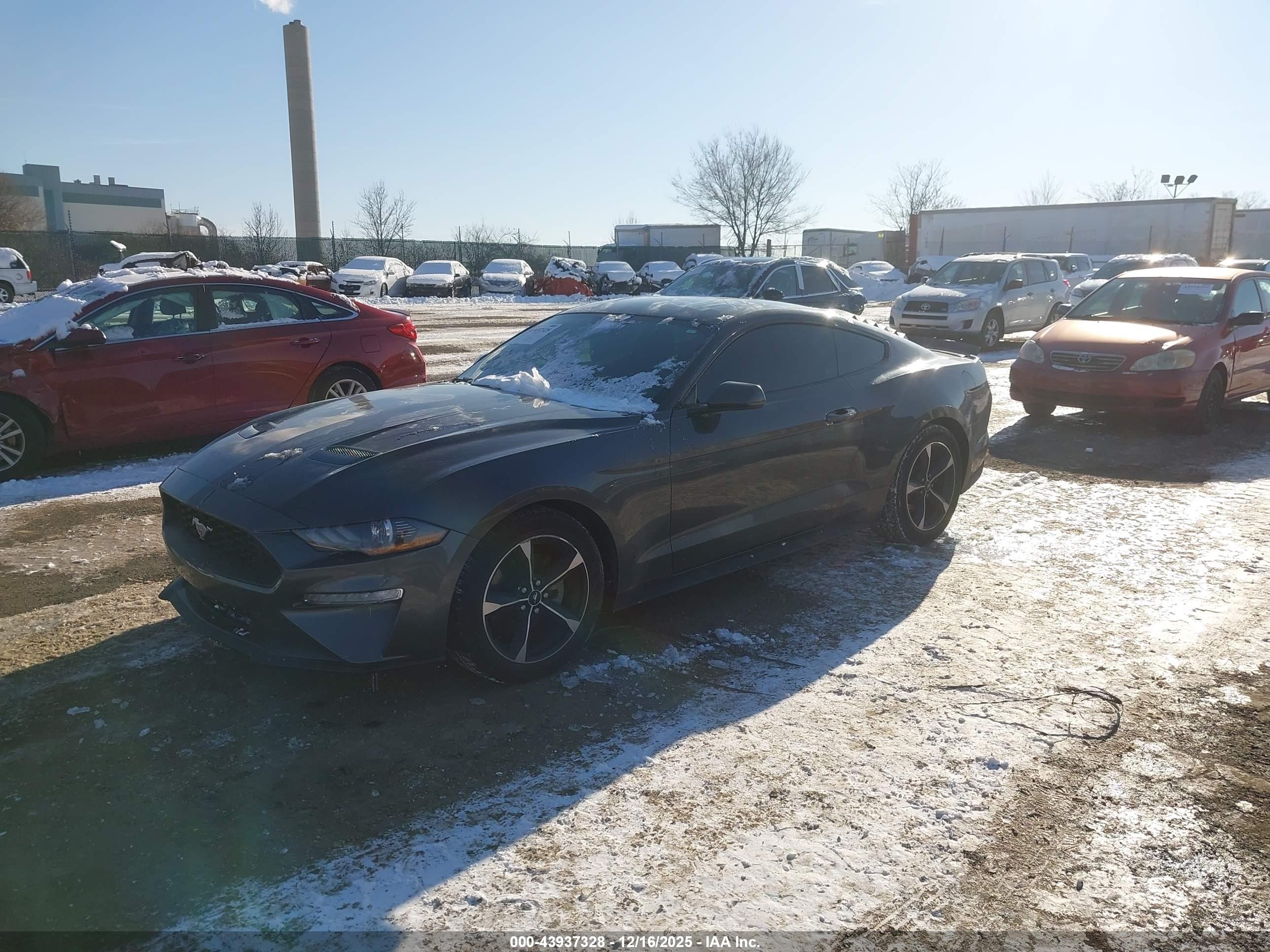 FORD MUSTANG image 2