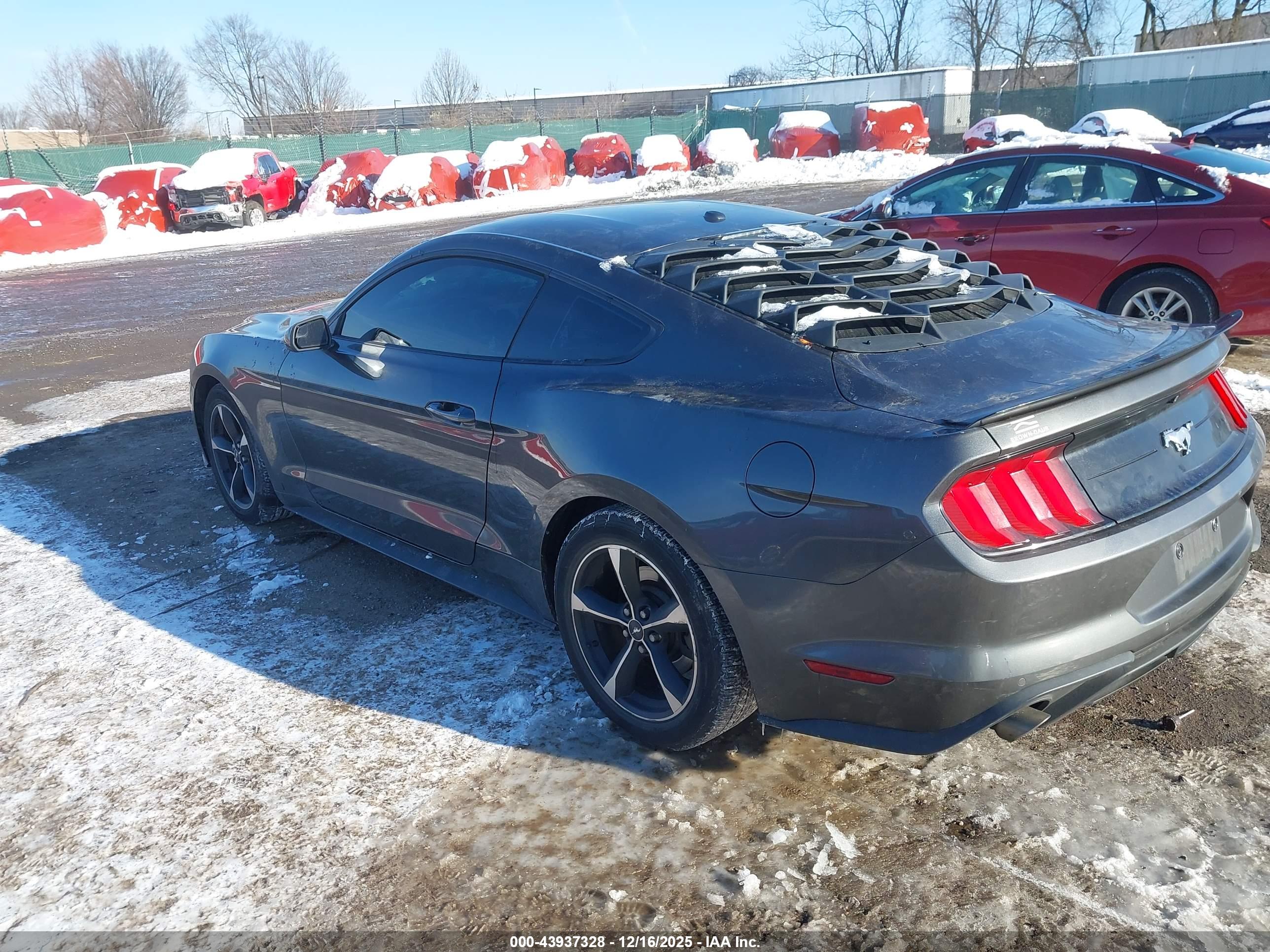 FORD MUSTANG image 3