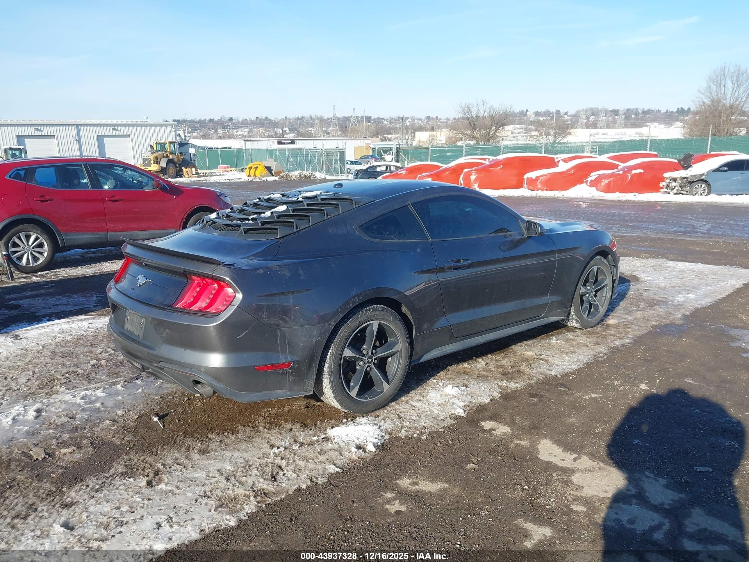 FORD MUSTANG image 4