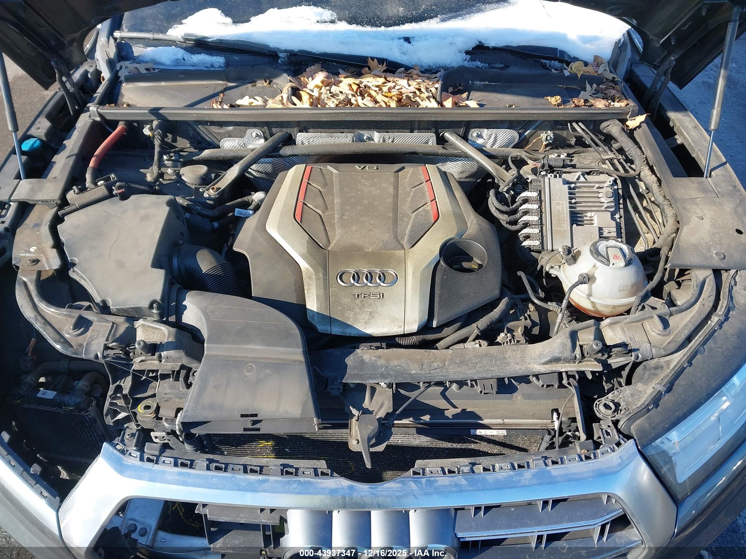 AUDI SQ5 image 10