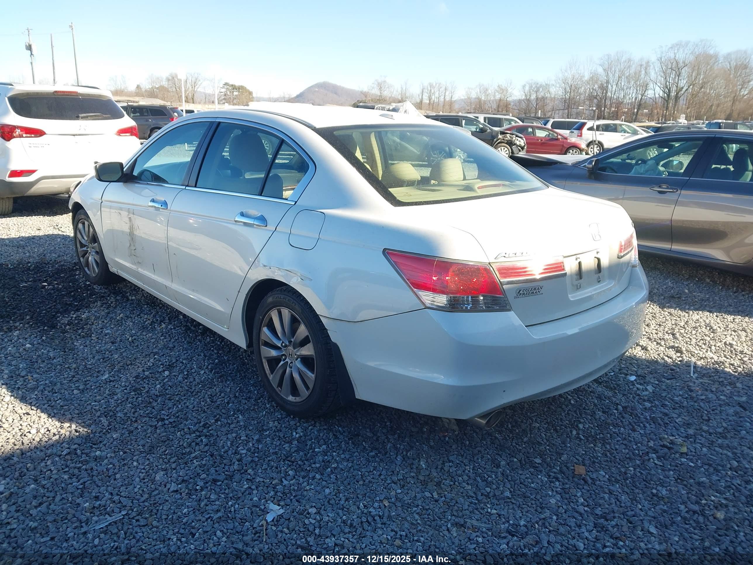 HONDA ACCORD image 3