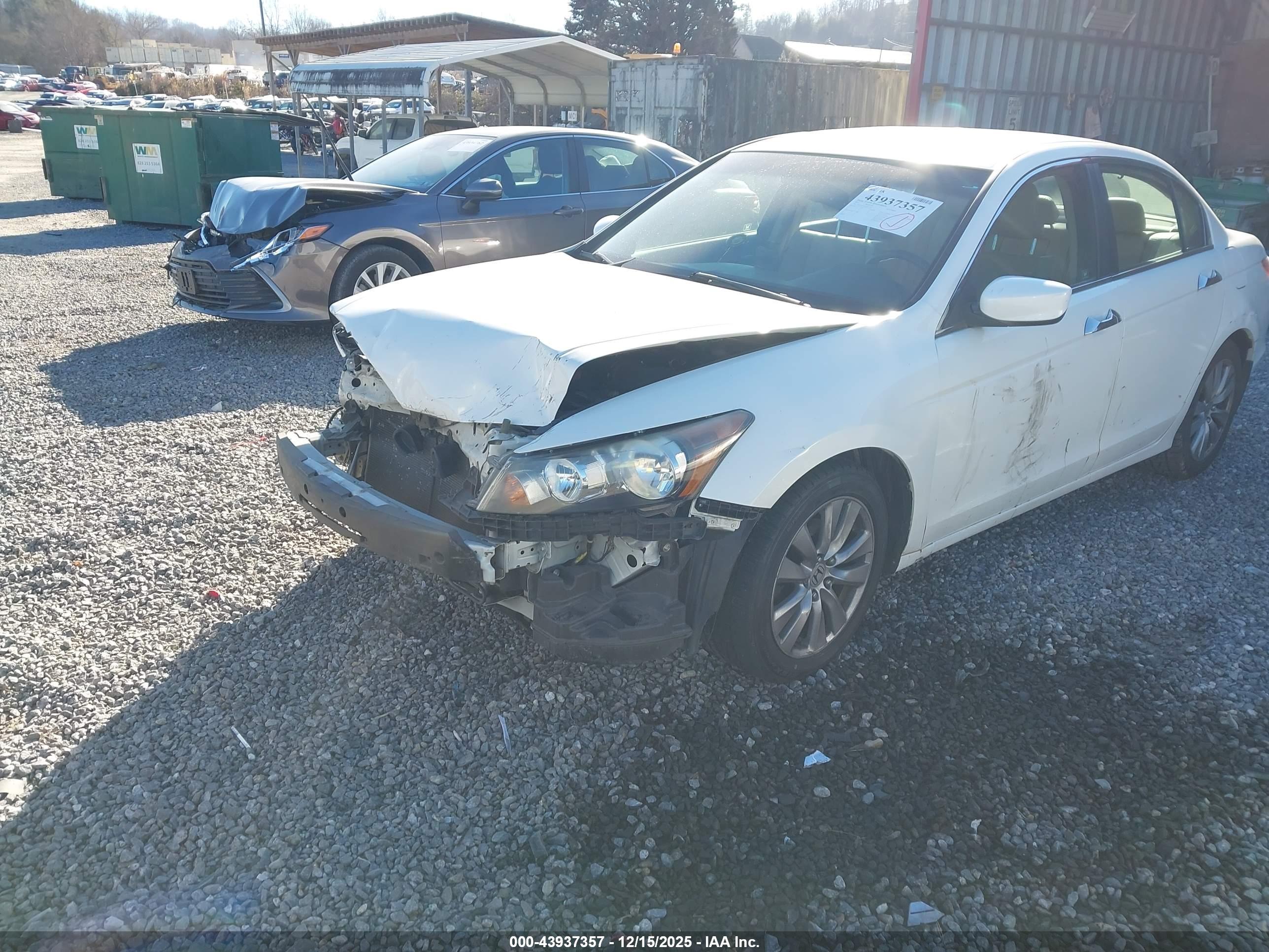 HONDA ACCORD image 6