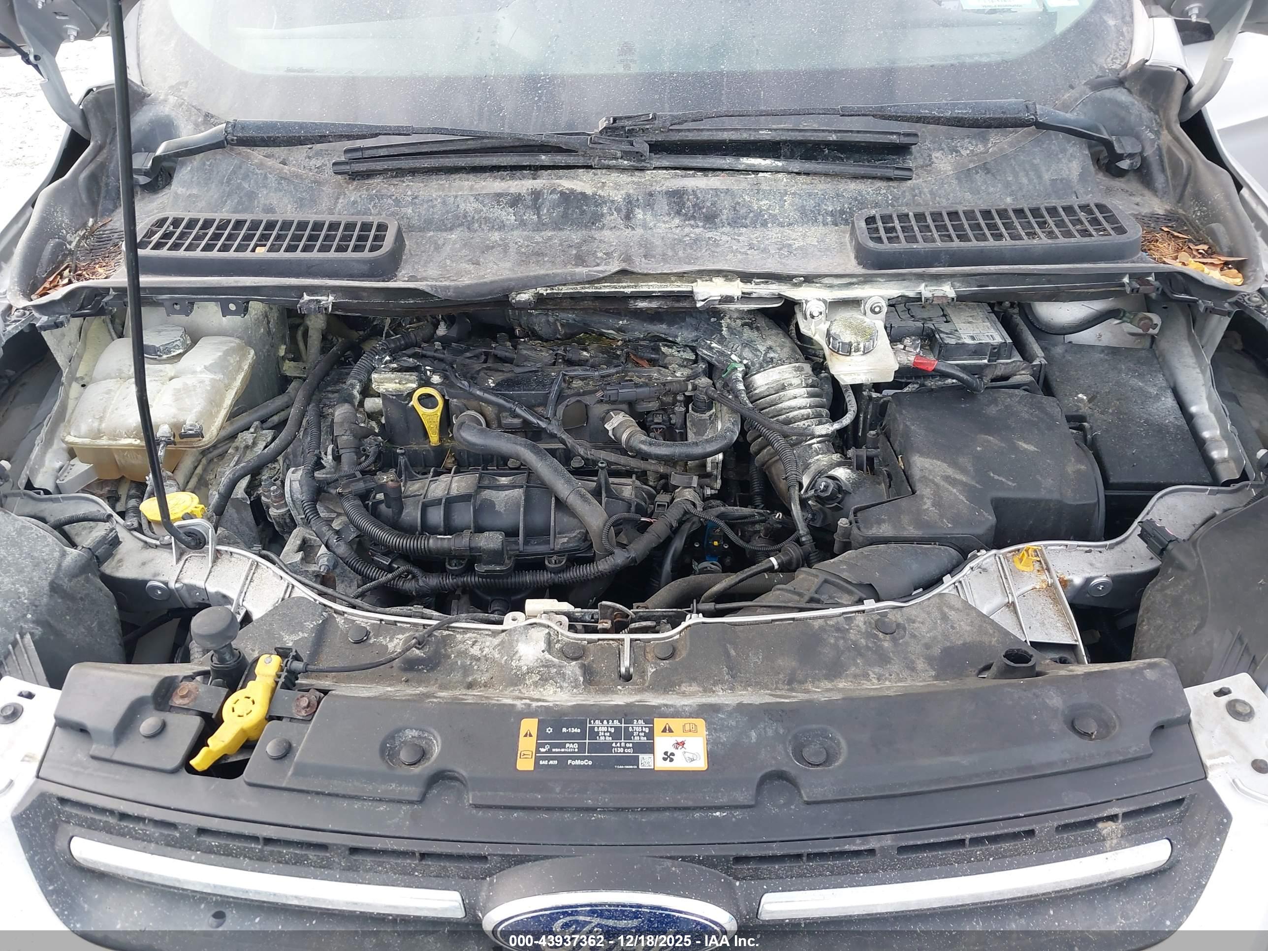 FORD ESCAPE image 10