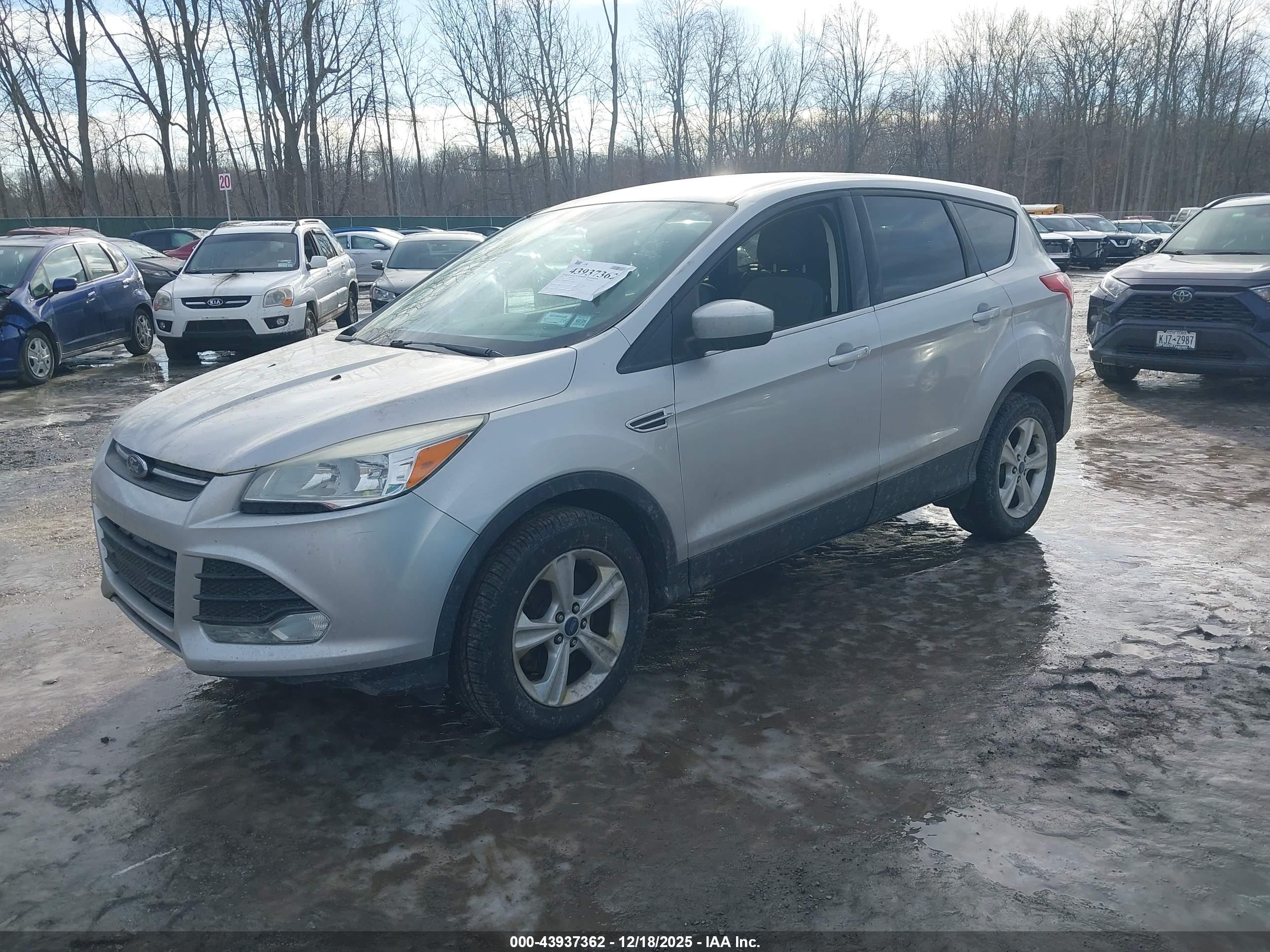 FORD ESCAPE image 2