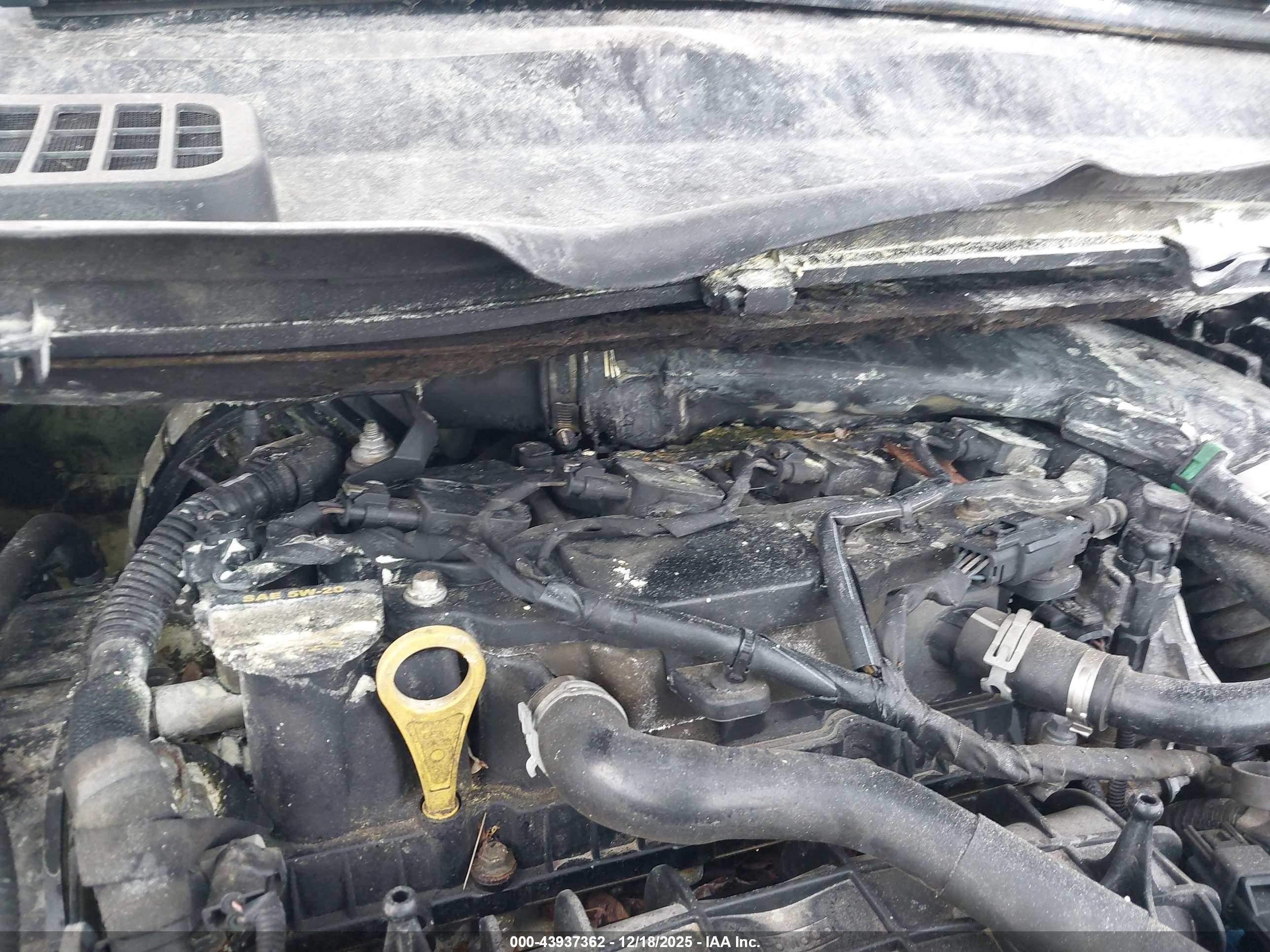 FORD ESCAPE image 6