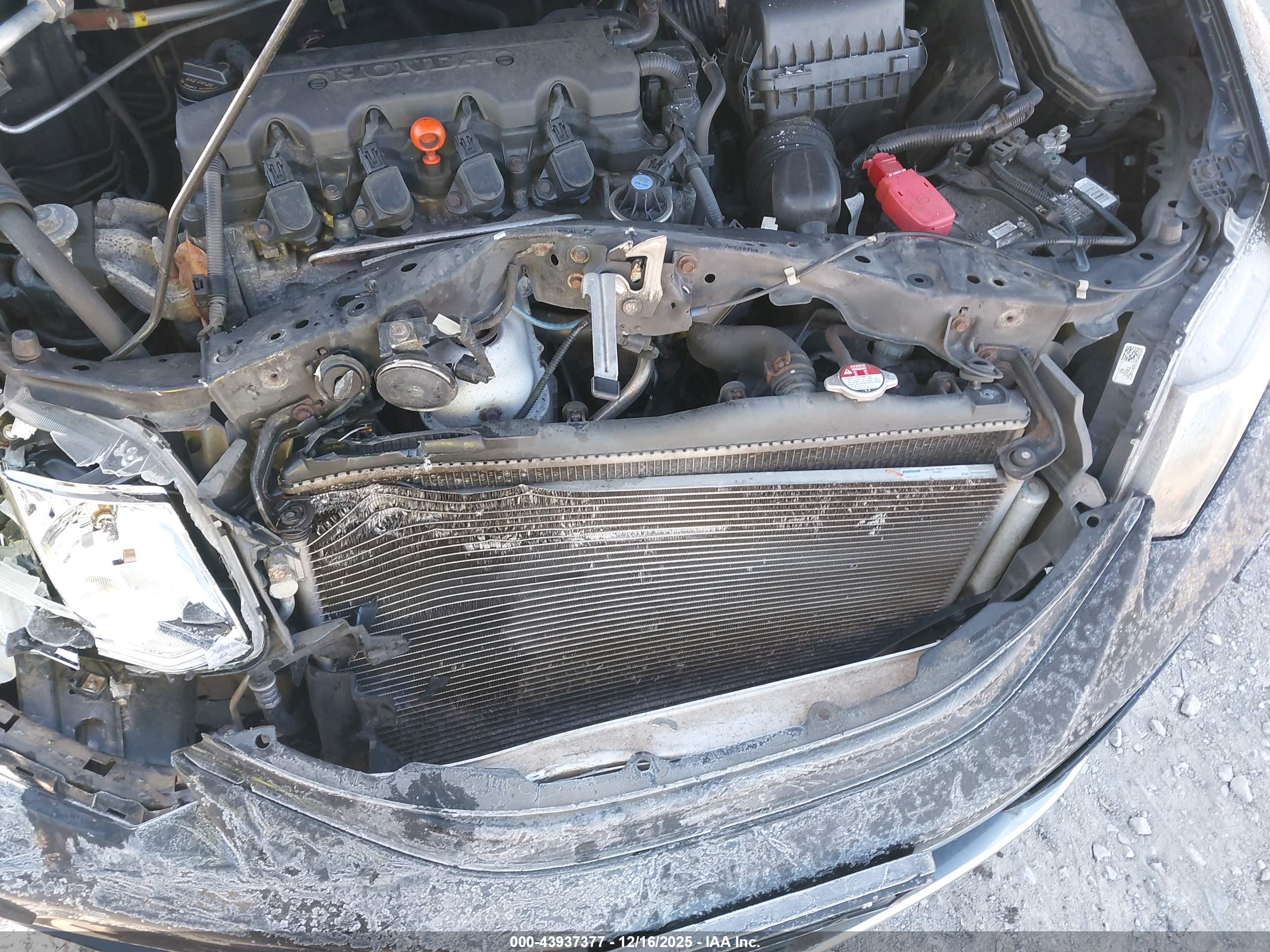 HONDA CIVIC image 6