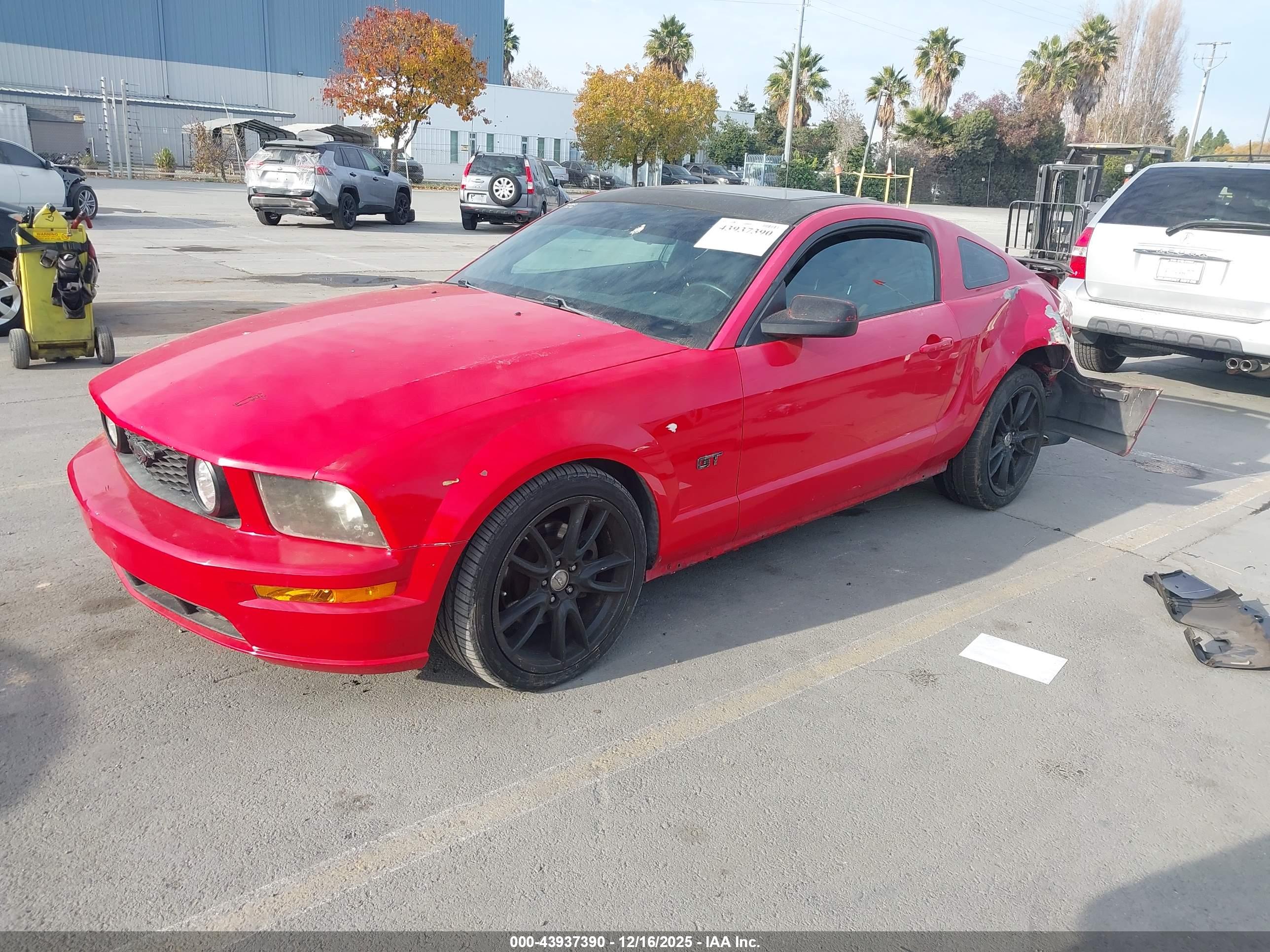 FORD MUSTANG image 2