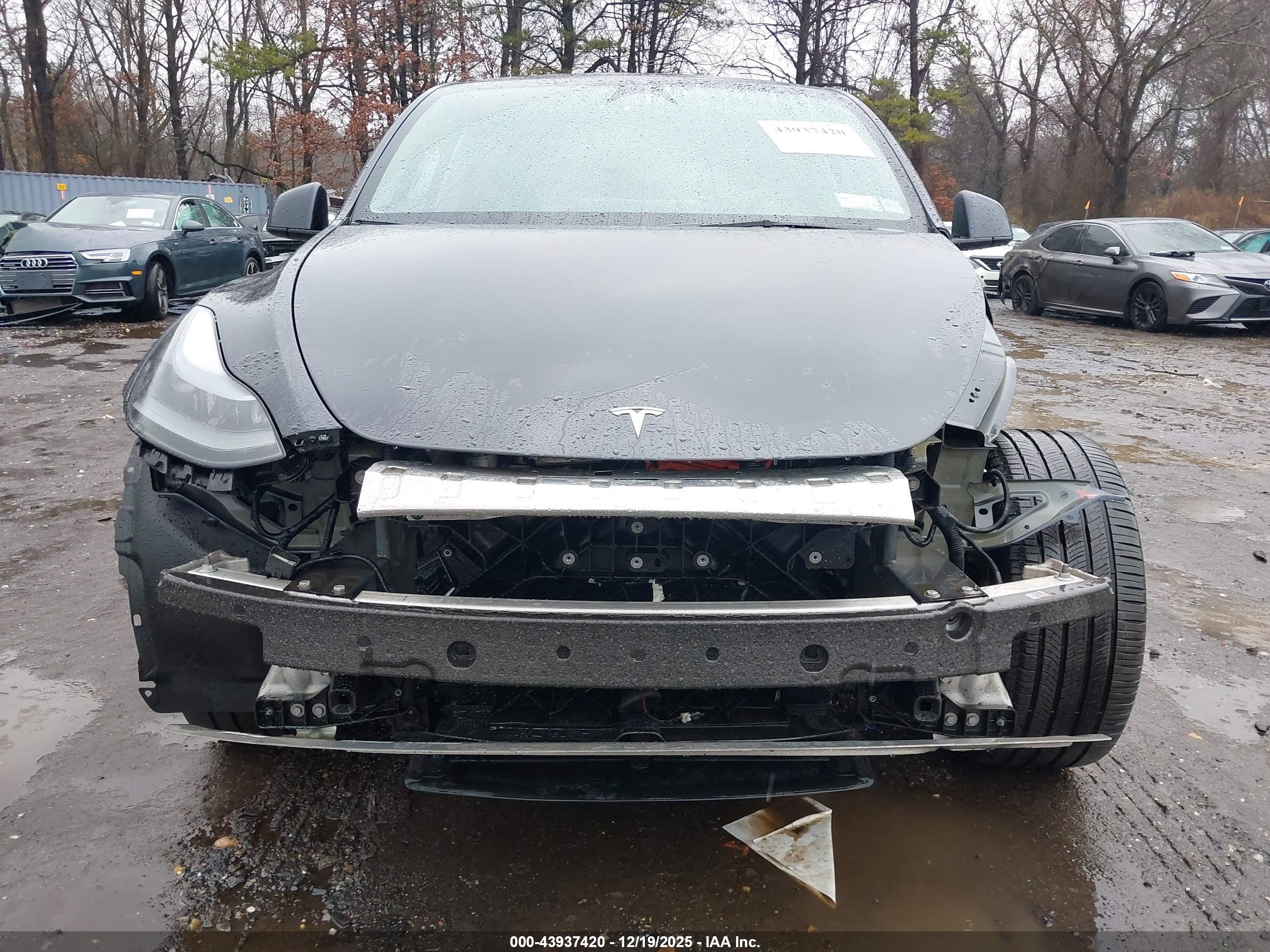 TESLA MODEL image 6