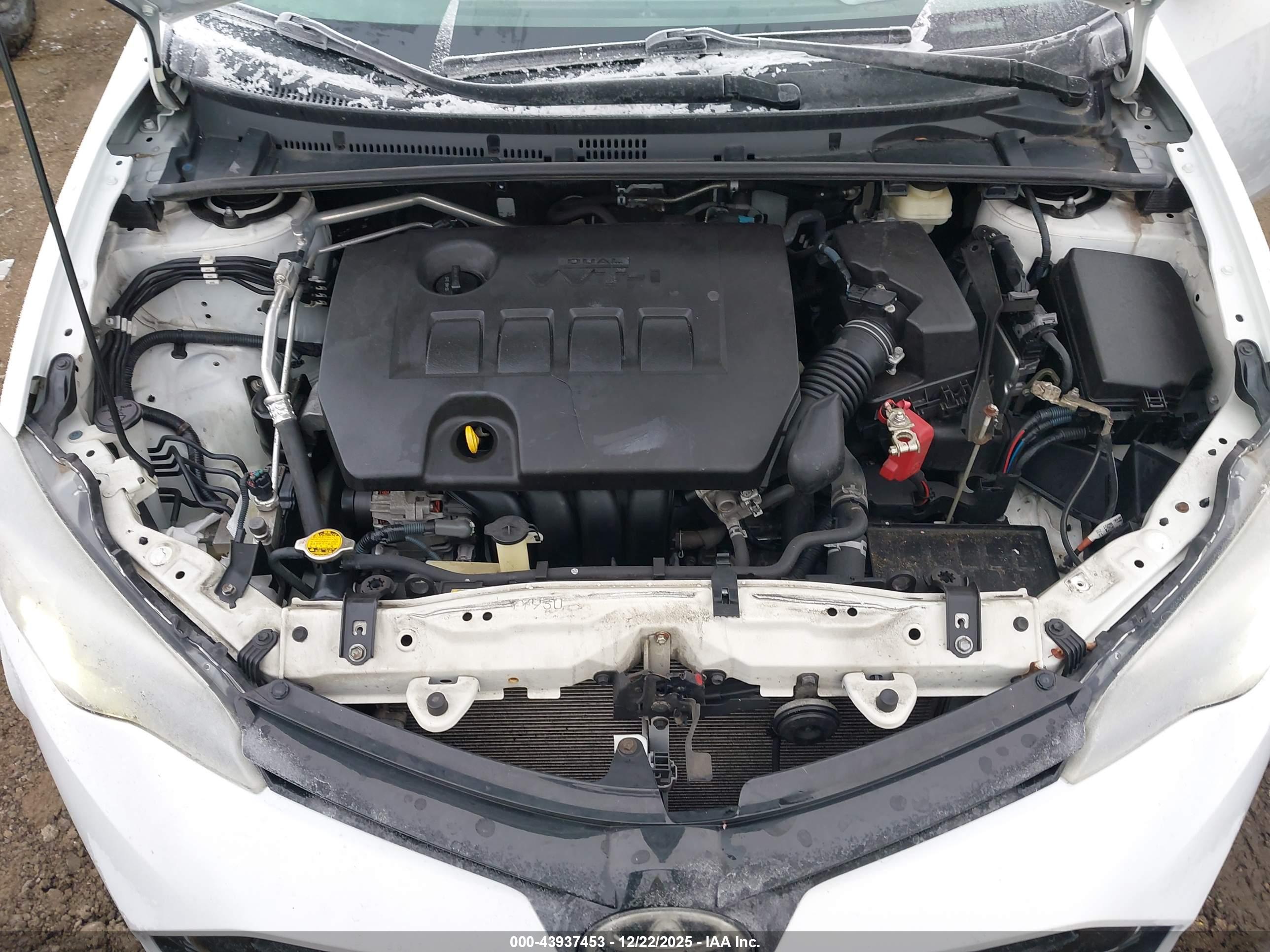 TOYOTA COROLLA image 10