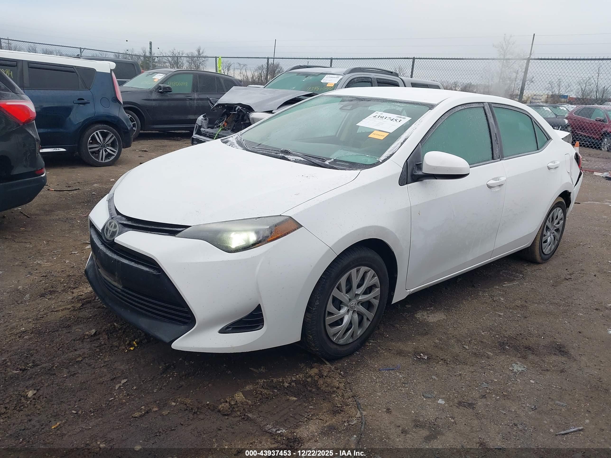 TOYOTA COROLLA image 2