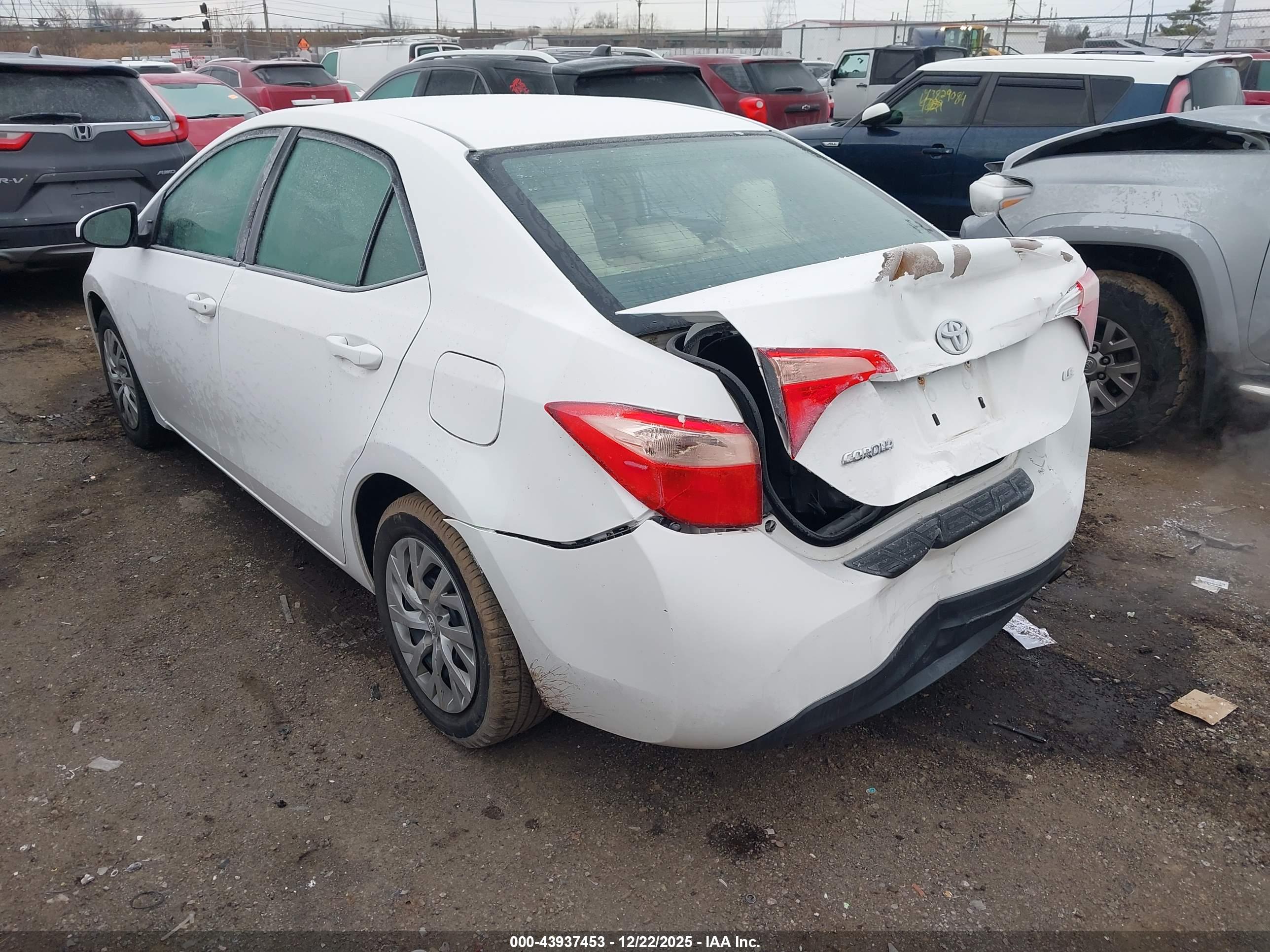 TOYOTA COROLLA image 3