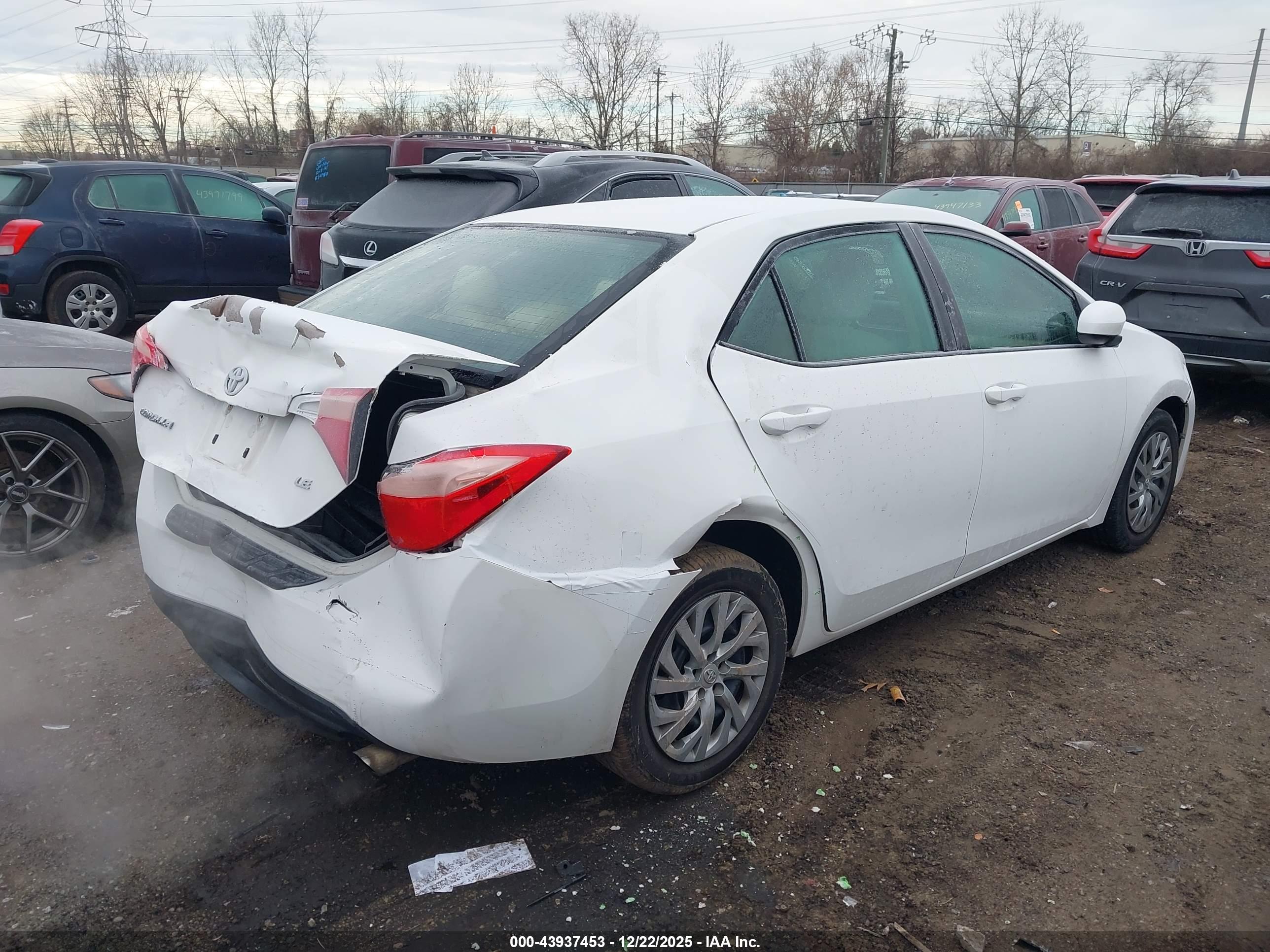 TOYOTA COROLLA image 4