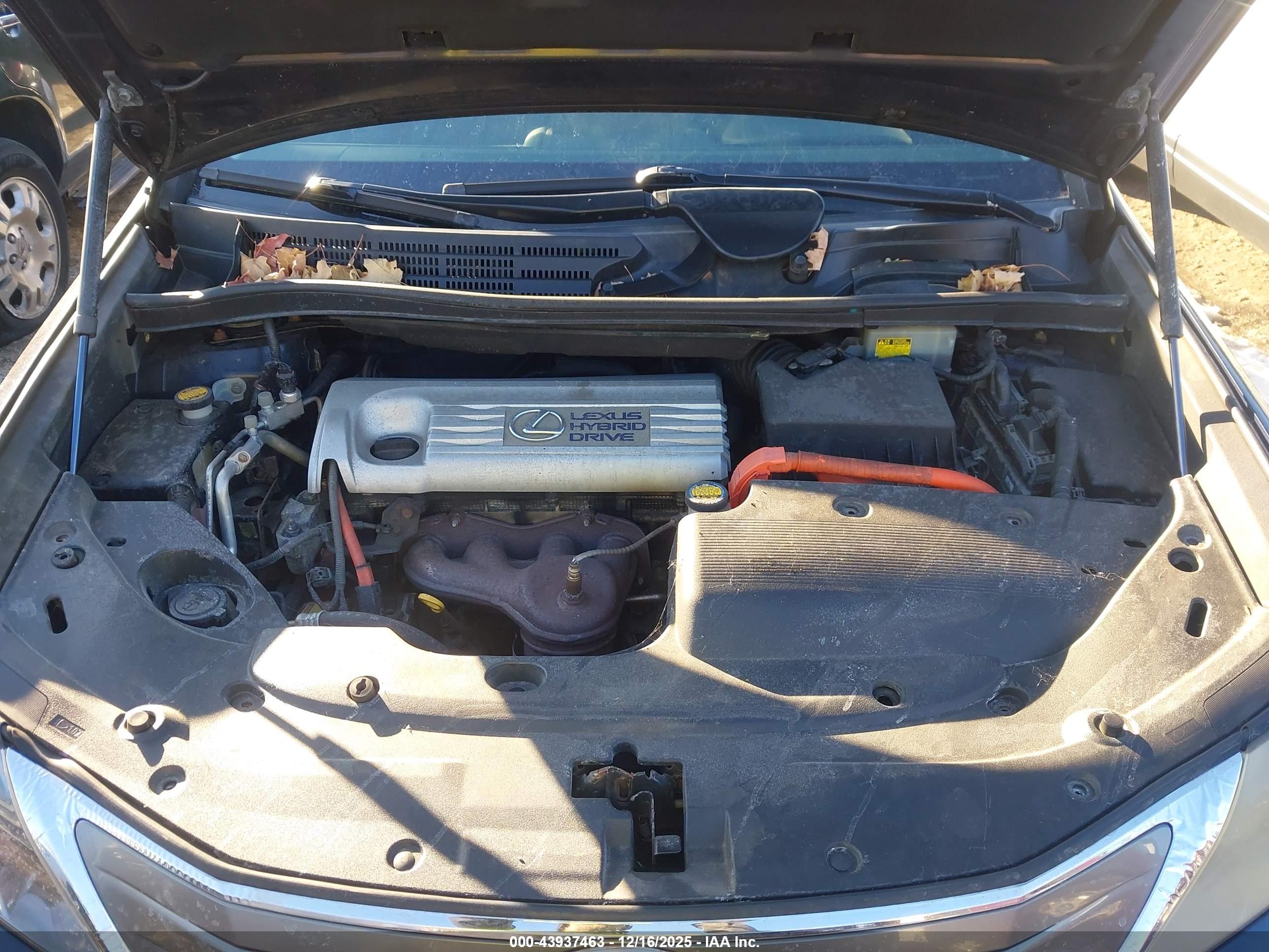LEXUS HS image 10