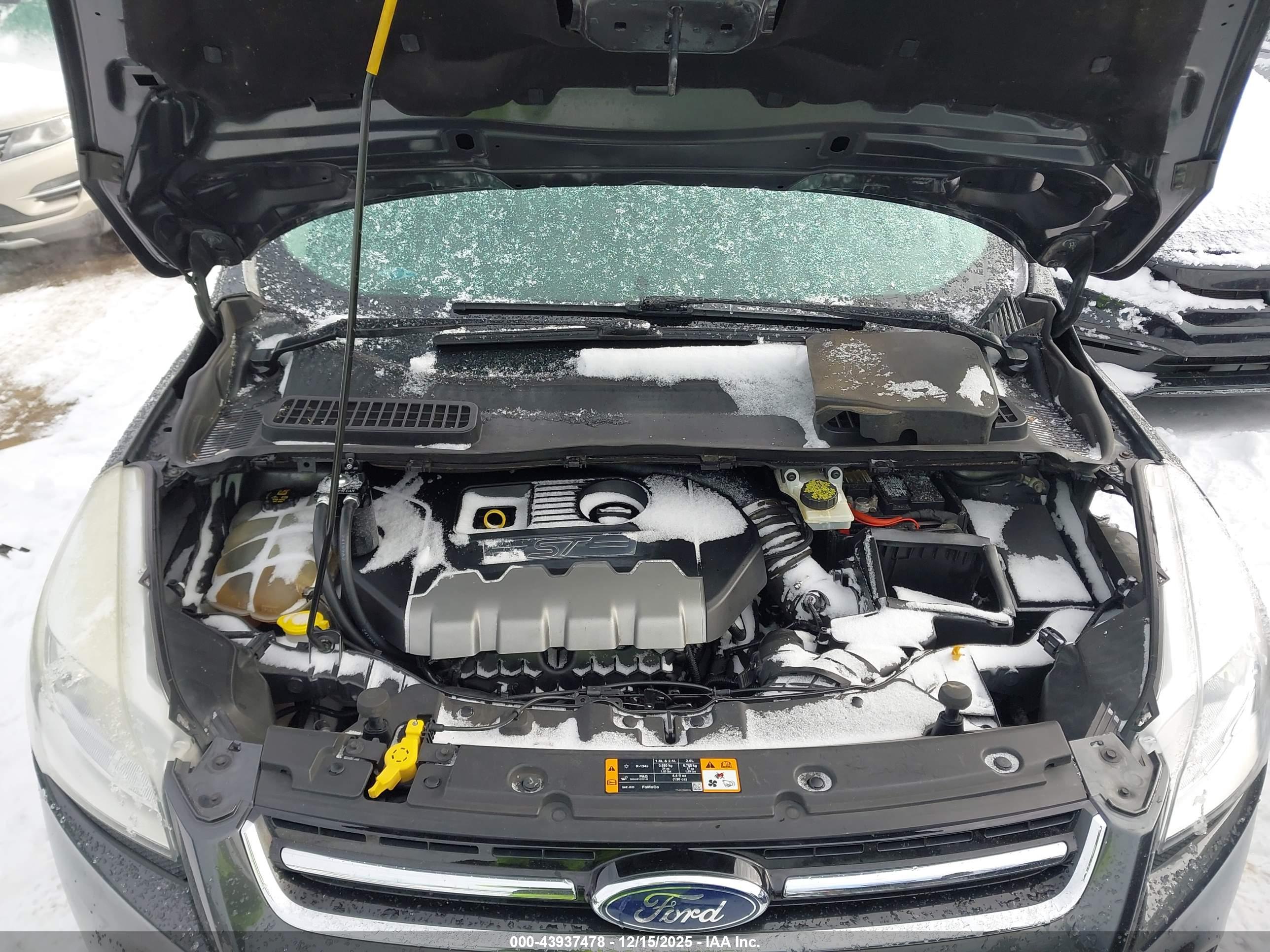 FORD ESCAPE image 10